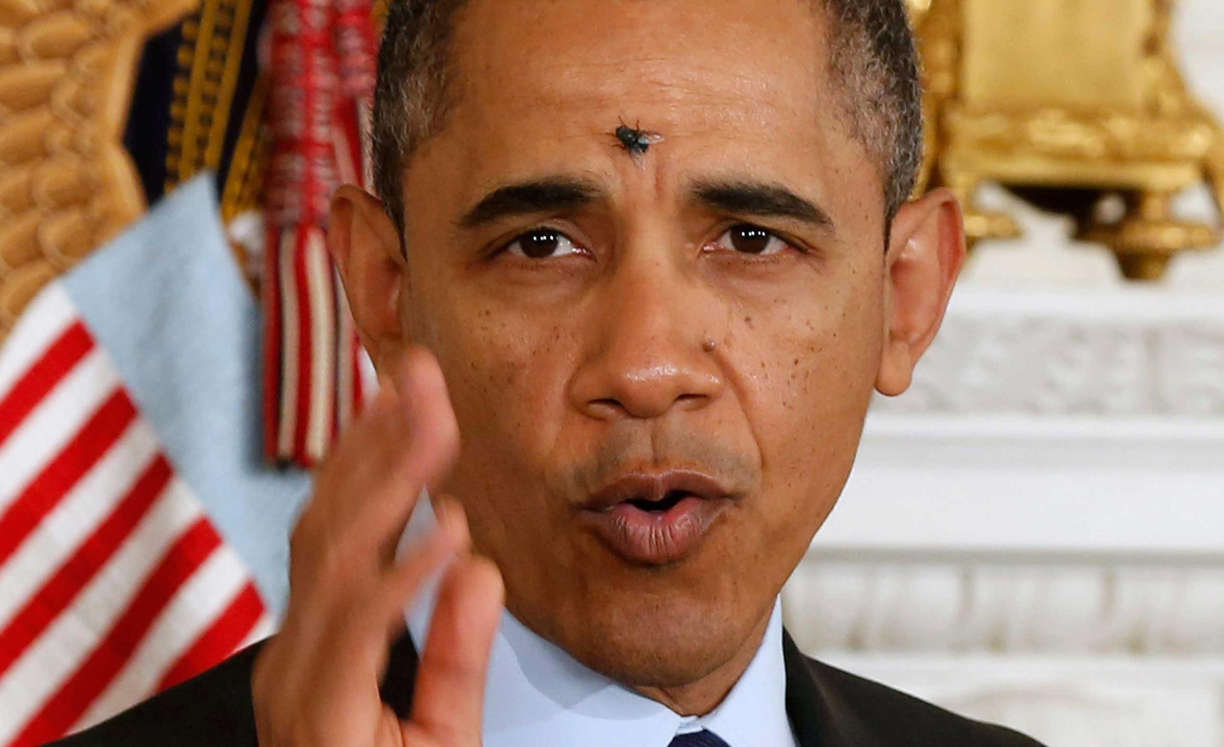 A fly lands on the head of U.S. President Barack Obama at the White House in Washington