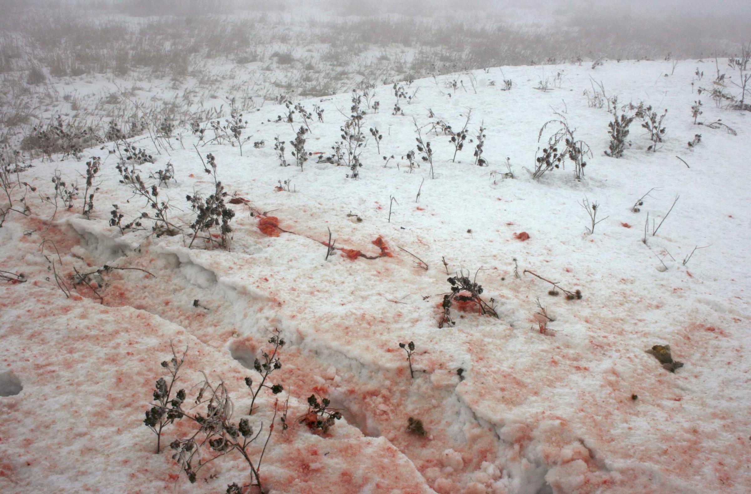 Blood stains are seen on snow at the site of a plane crash outside Almaty