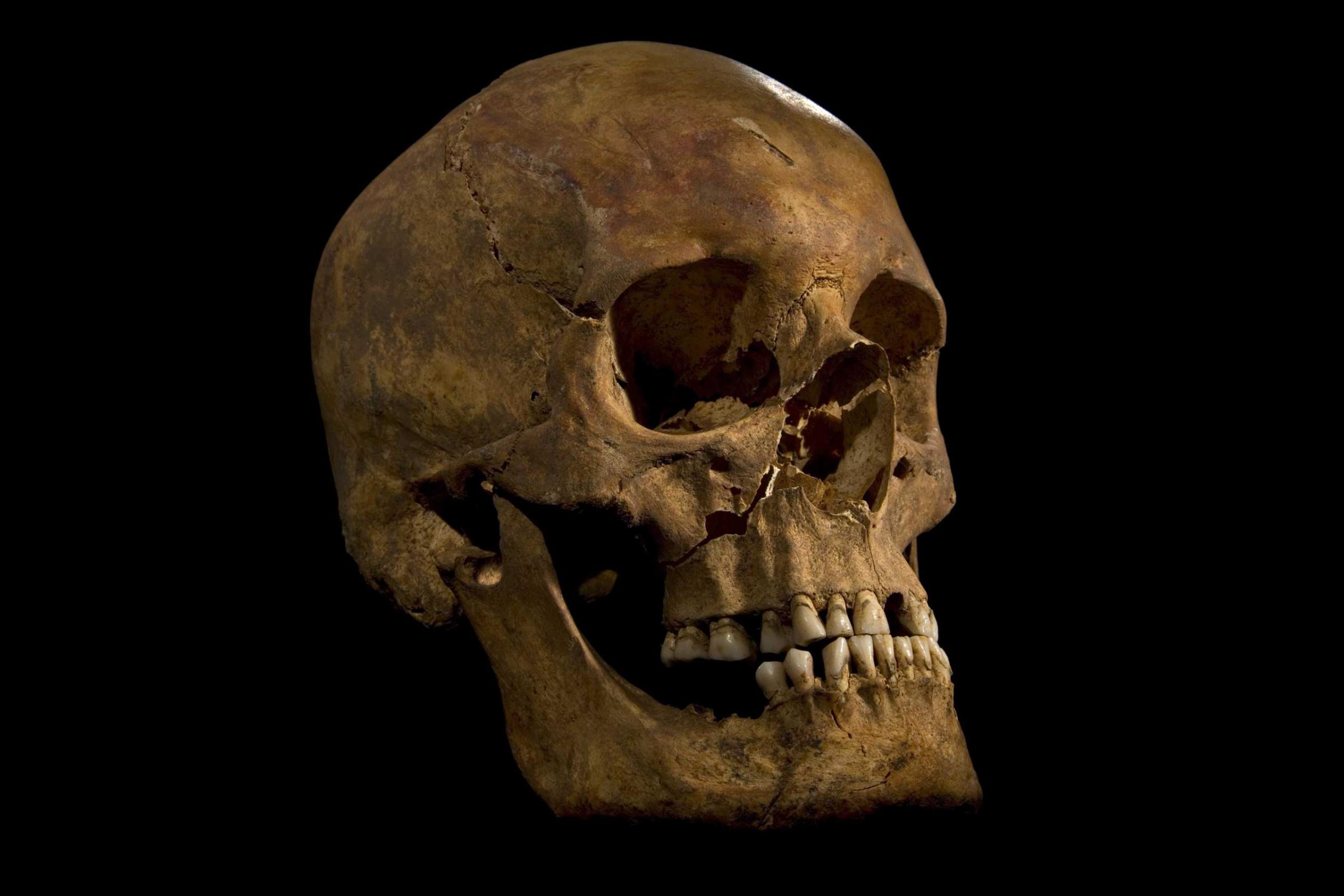 Richard III Skeleton Discovered in England