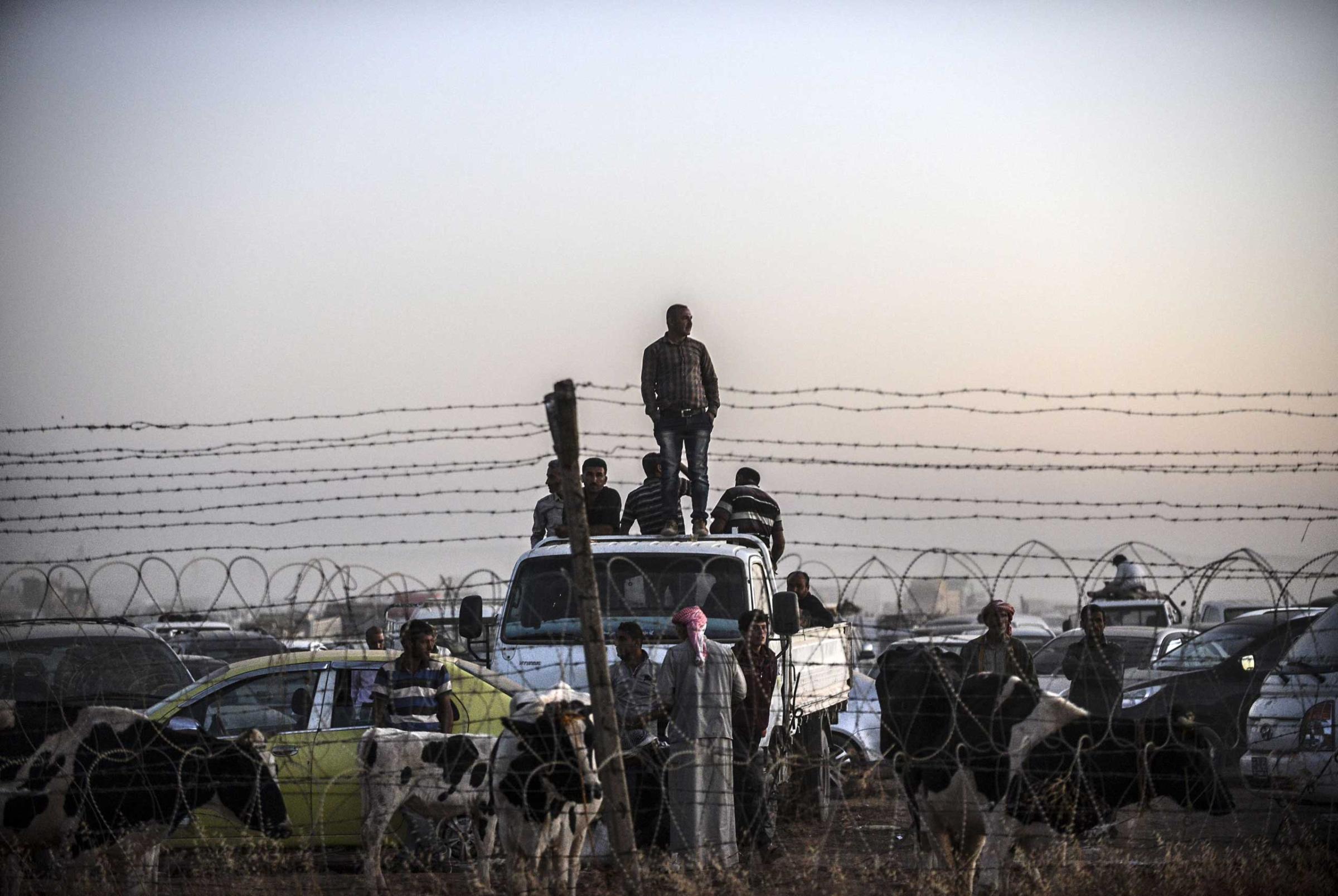 Syrian Kurds wait next to their animals as they stand behind a fence, on the Syrian border in the southeastern town of Suruc in Sanliurfa province, on Sept. 21, 2014.