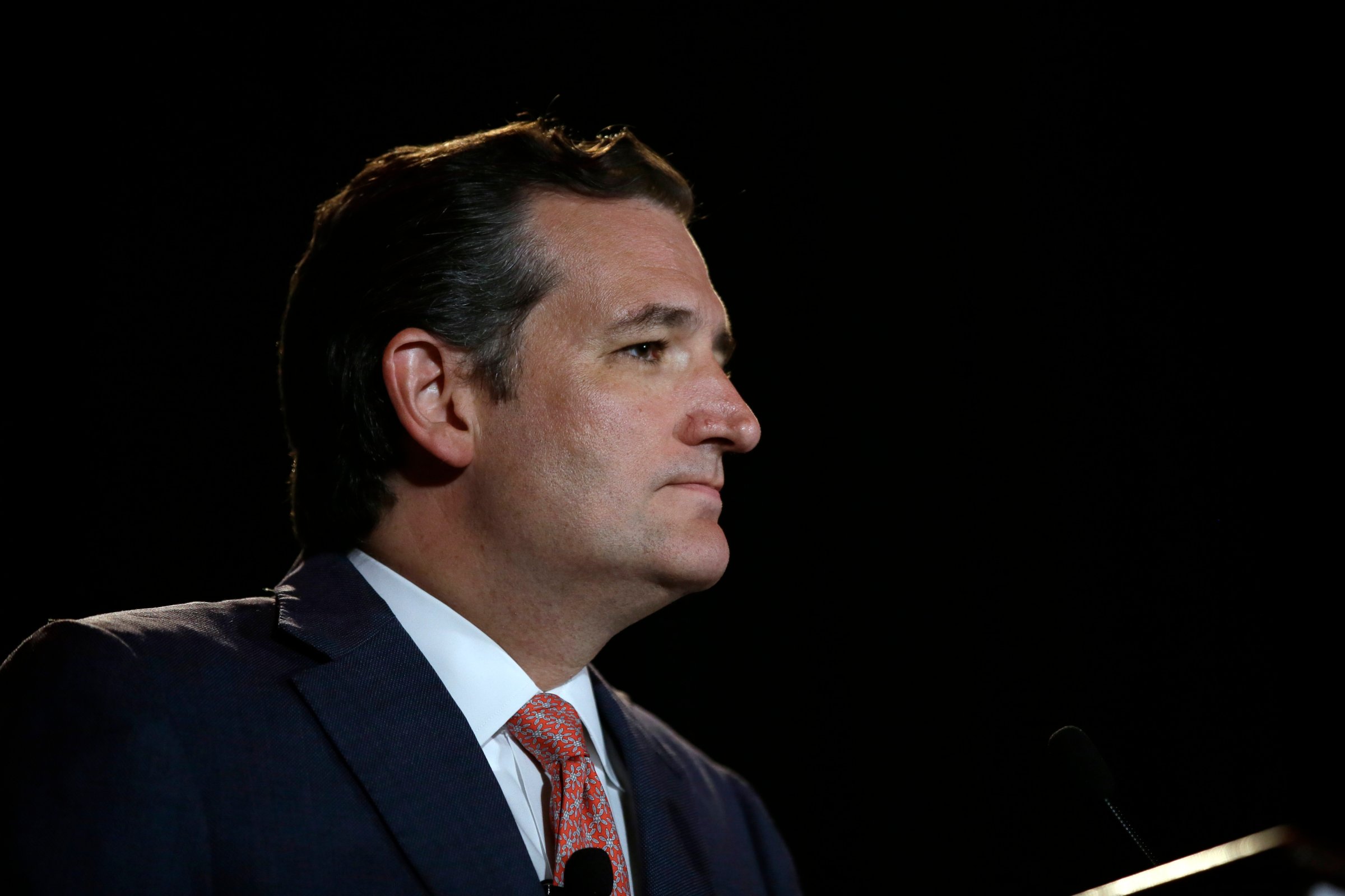 U.S. Sen. Ted Cruz, R-Texas, pauses as he addresses attendees at the 2014 Red State Gathering on Aug. 8, 2014, in Fort Worth, Texas.v