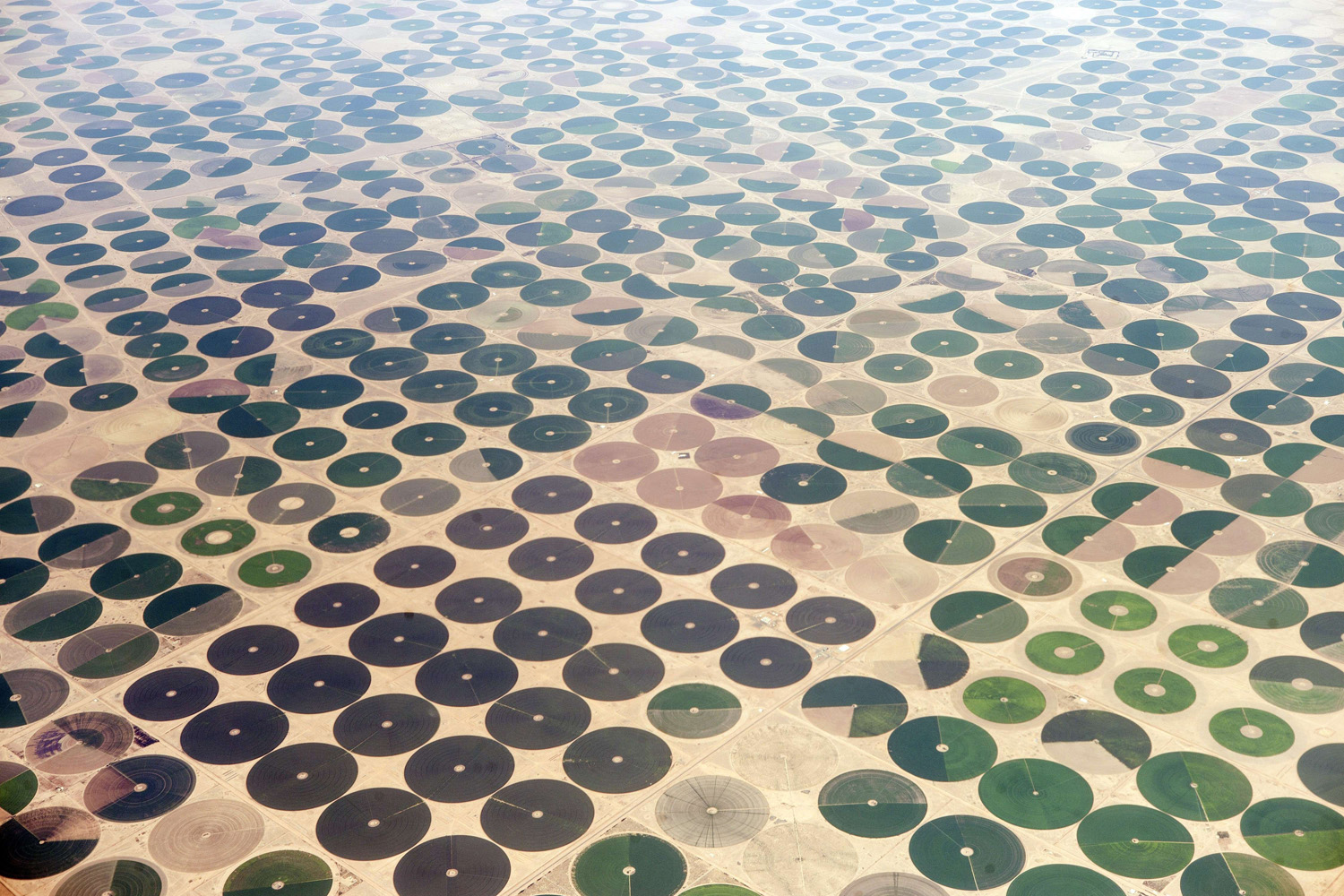 Sept. 11, 2014. A general view taken from an airplane on shows cultured farms in northern Saudi Arabia.