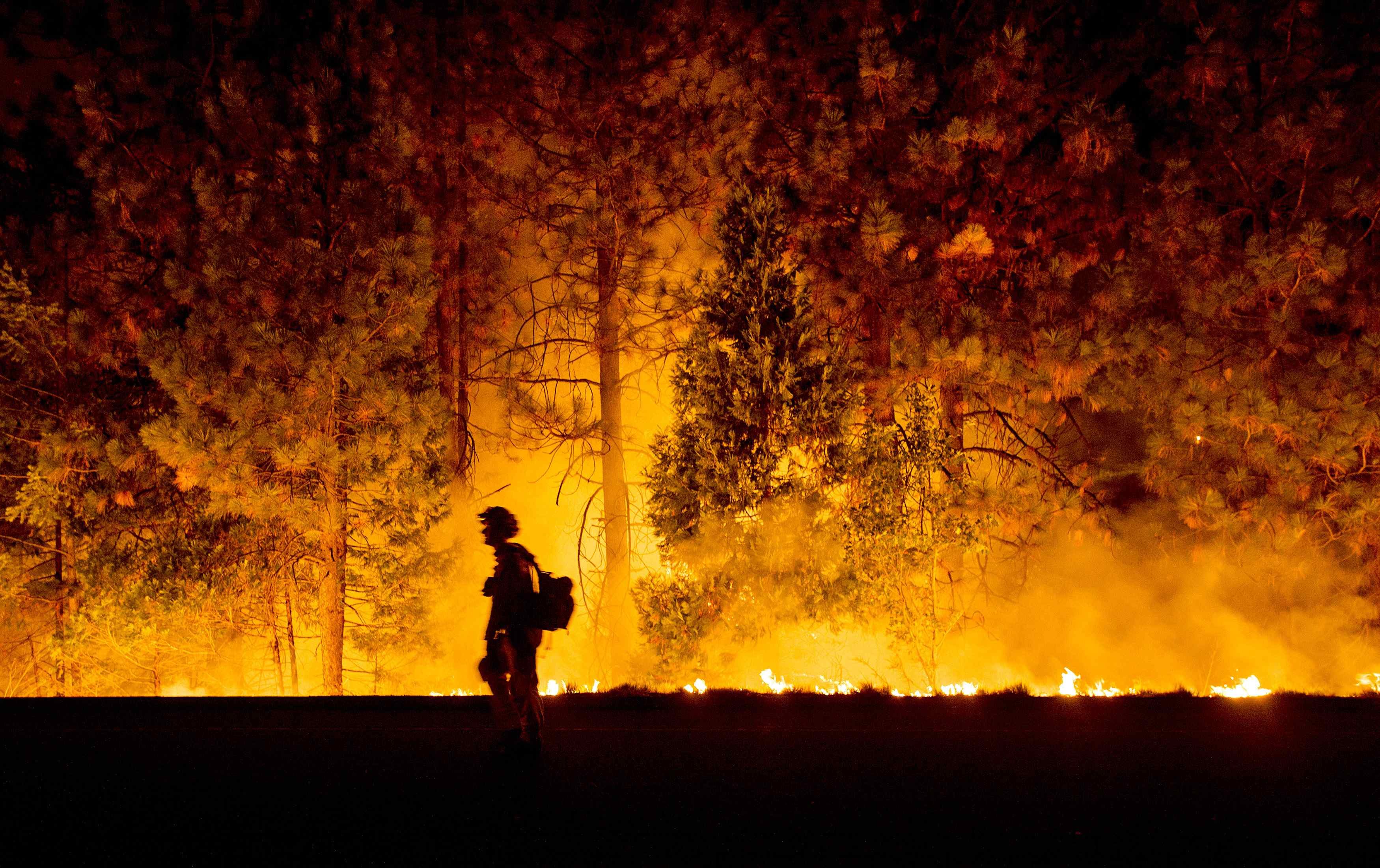 A firefighter battling the King Fire watches as a backfire burns along Highway 50 in Fresh Pond, California September 16, 2014.
