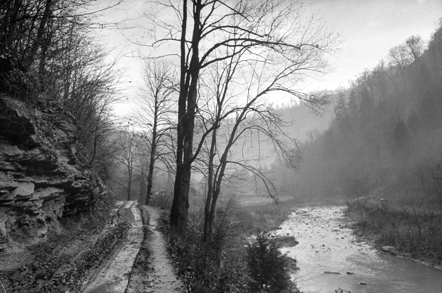 The Cutshin Creek and trail, Leslie County, Ky., 1949.