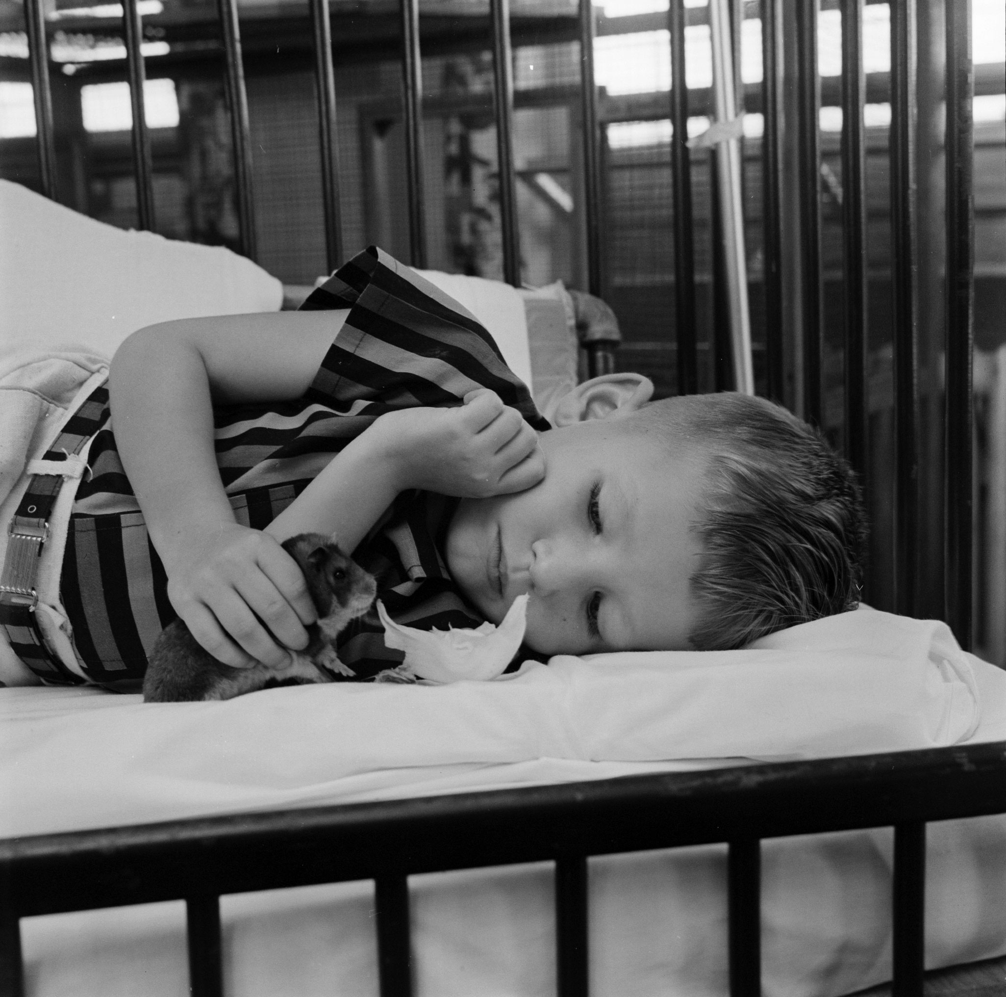 Scene at University of Michigan's hospital at Ann Arbor, 1956.