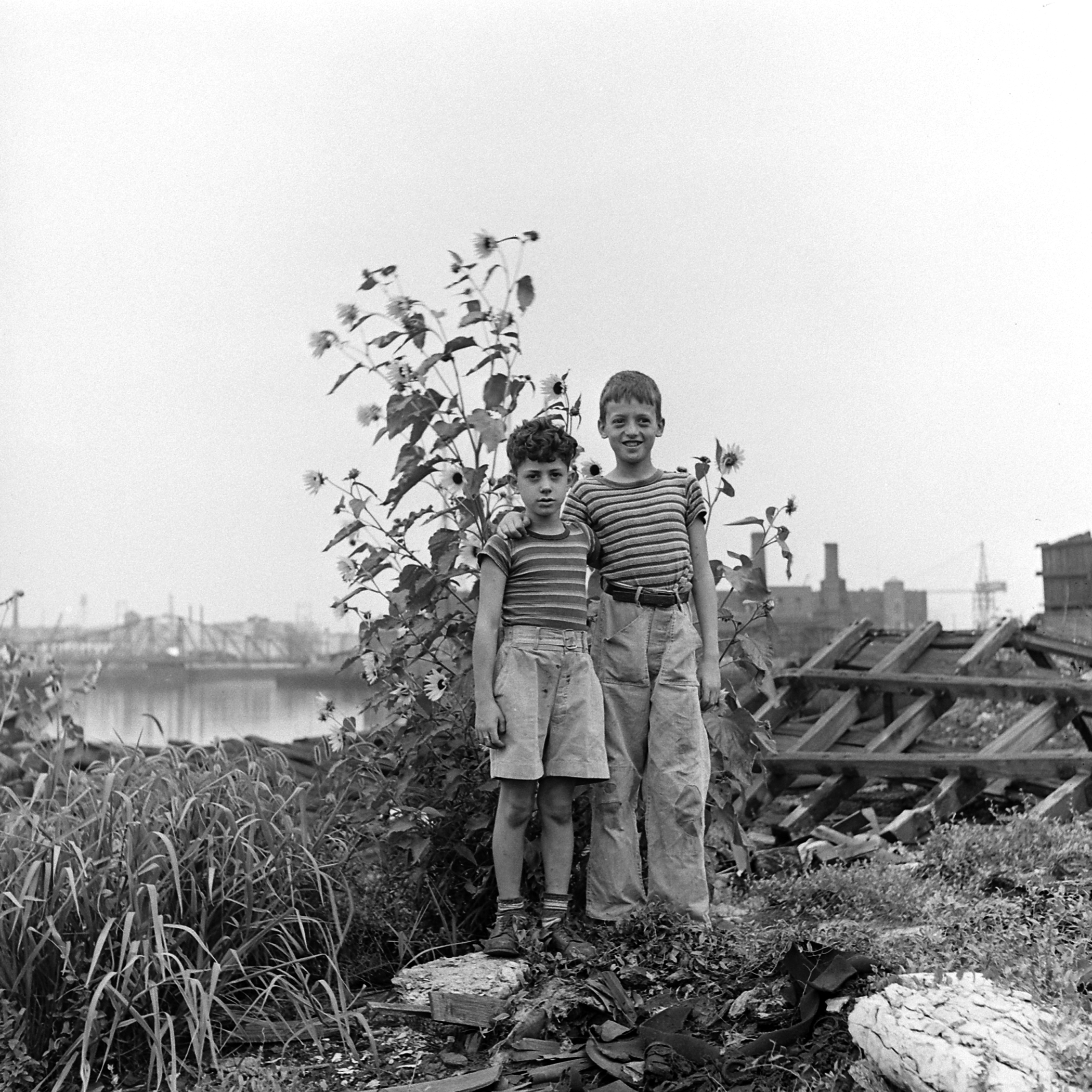 Unidentified boys, Brooklyn, 1946.