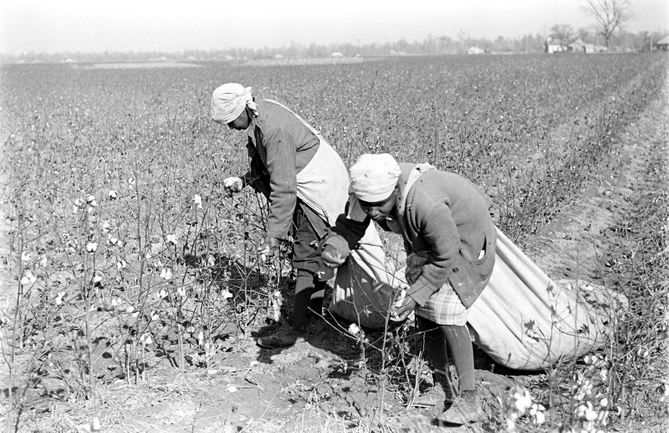 Mississippi sharecroppers, 1936.