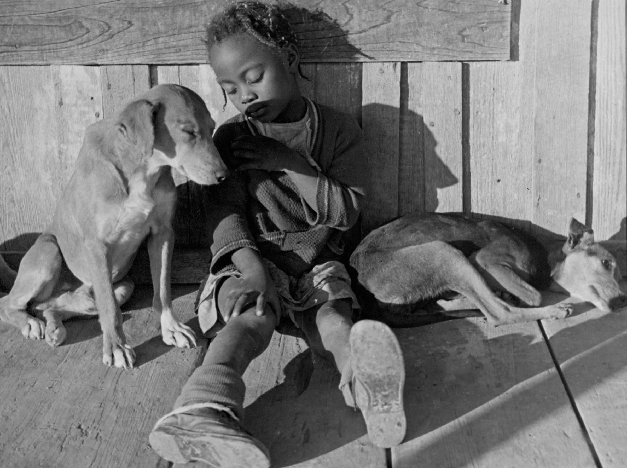 Lonnie Fair's daughter sleeping in the sun with her dogs, 1936.