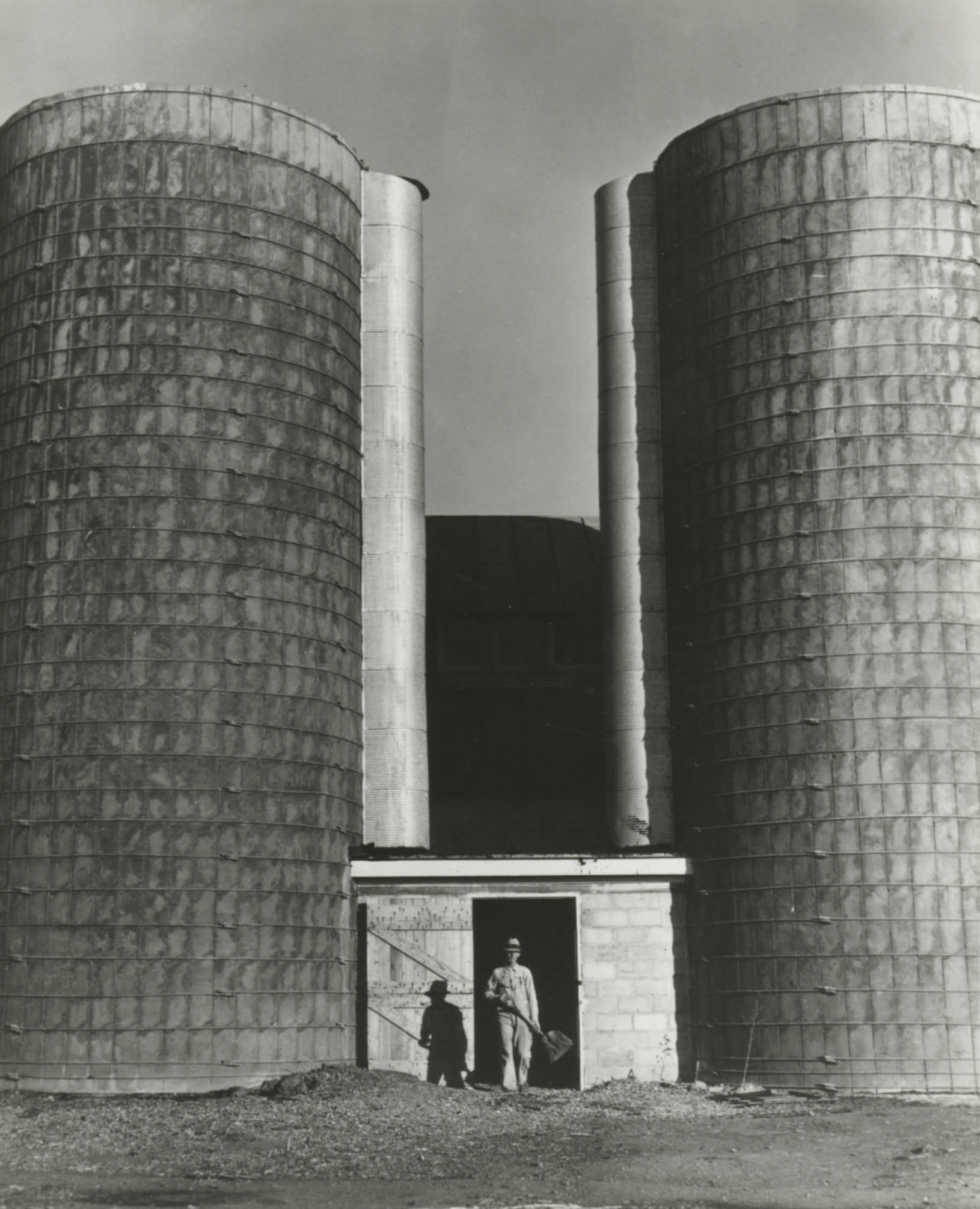 Silos at the Bois d'Arc cooperative farm store feed for 102 dairy cows, Osage Farms, Missouri