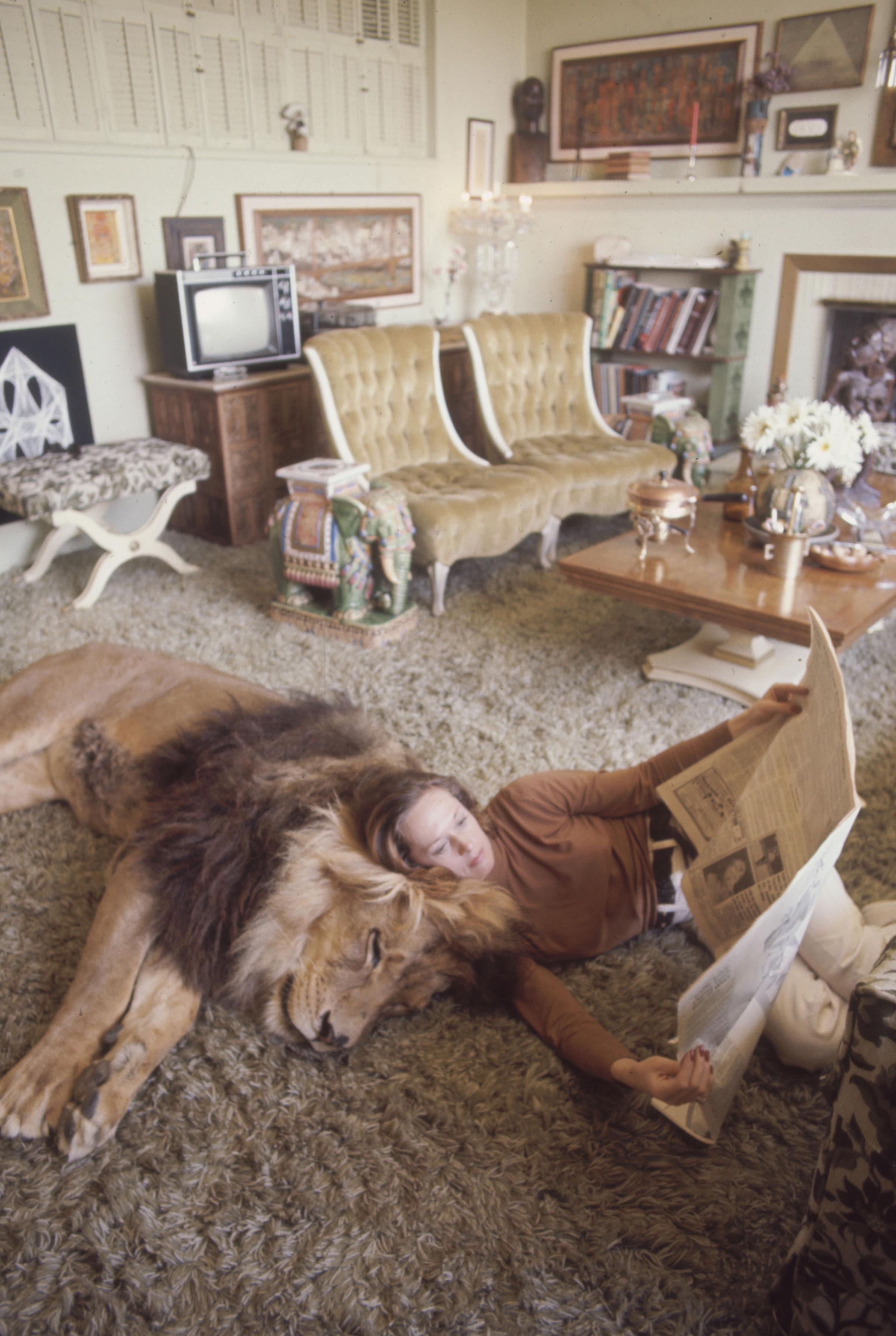 Tippi Hedren reading a newspaper beside Neil the pet Lion, in her California home.