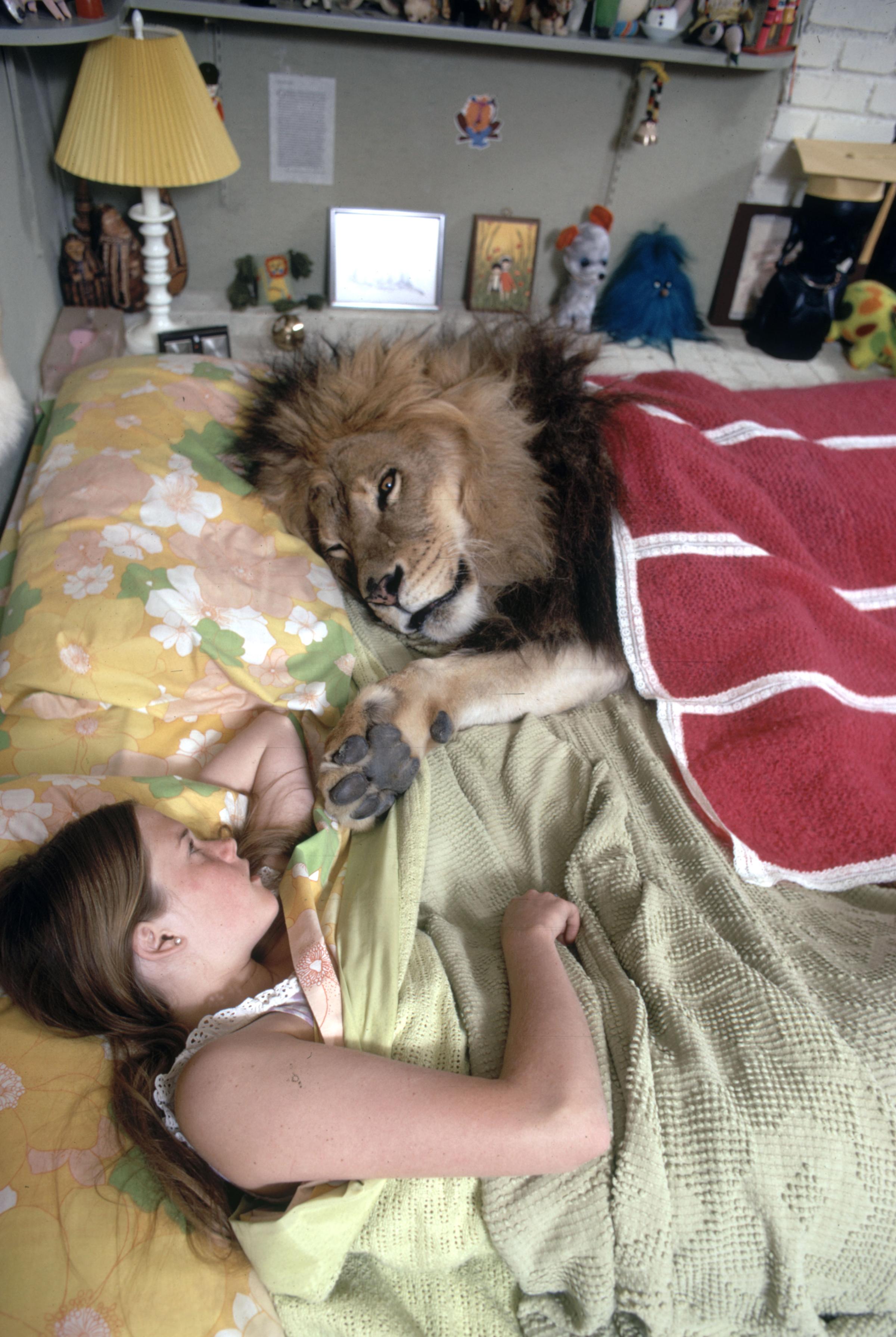 Melanie Griffith in bed with Neil the lion, 1971.