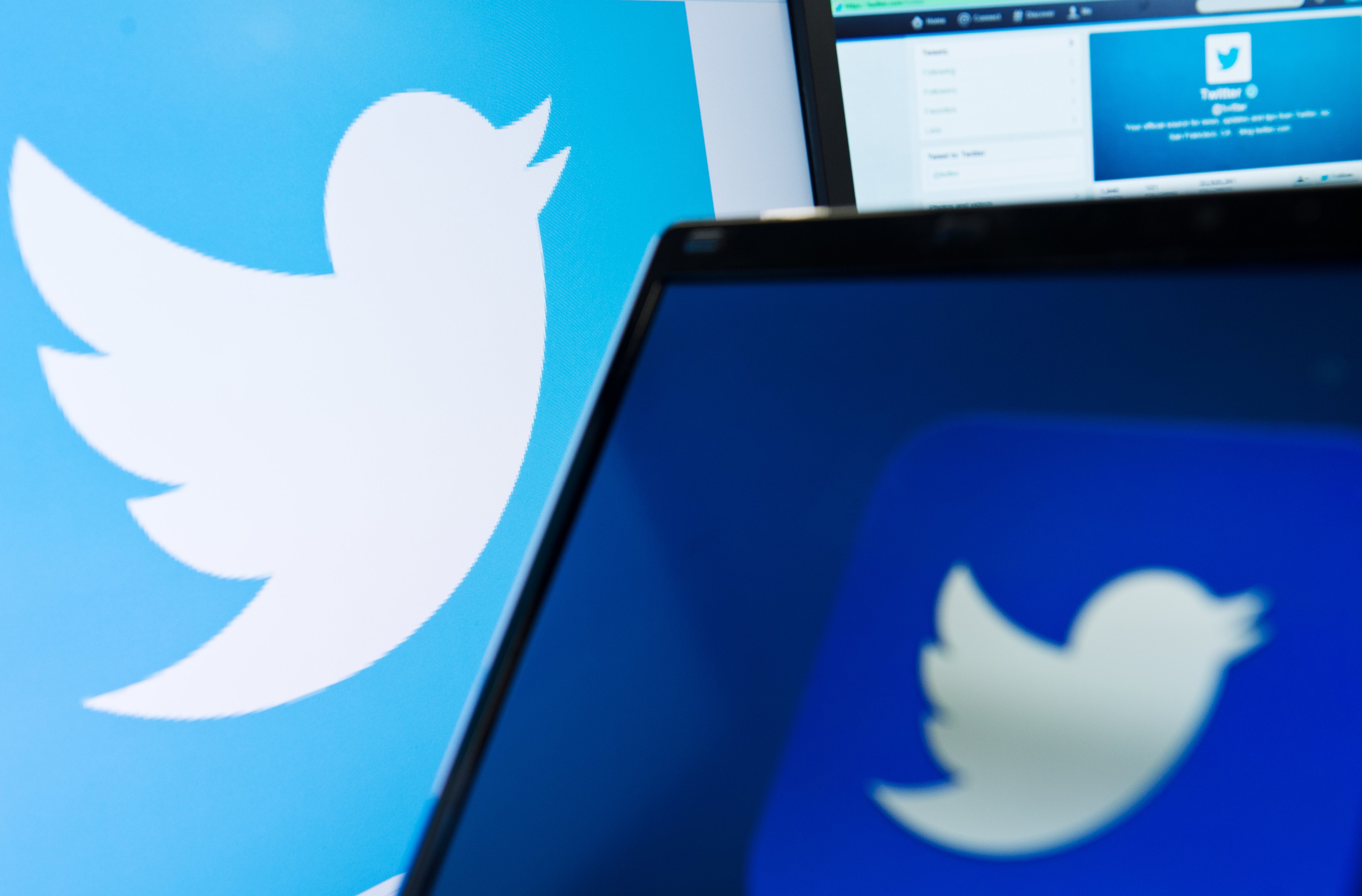 The logo of social networking website 'Twitter' is displayed on a computer screen (LEON NEAL&mdash;AFP/Getty Images)