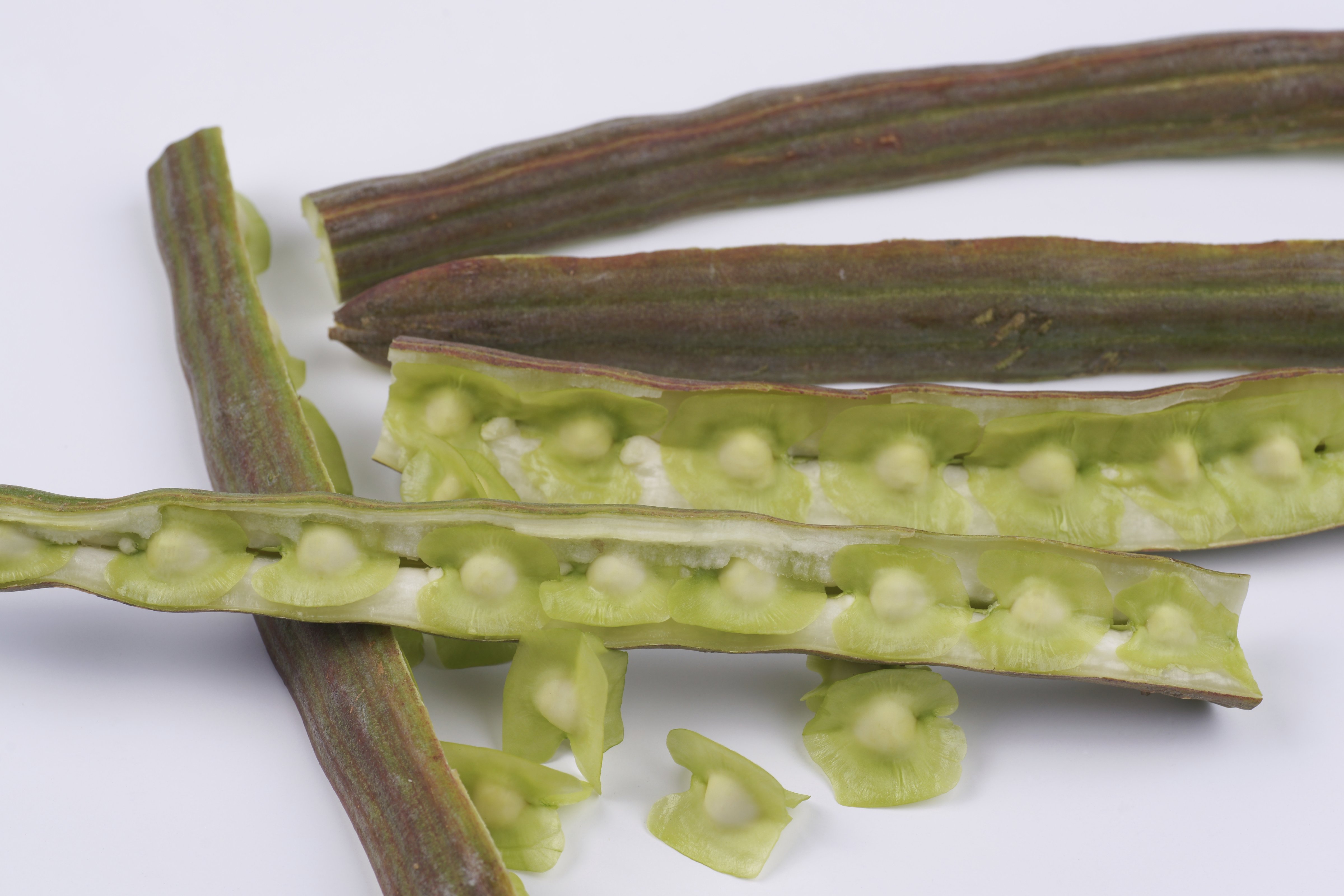 Drumstick herb or Moringa oleifera (dangdumrong&mdash;Getty Images)