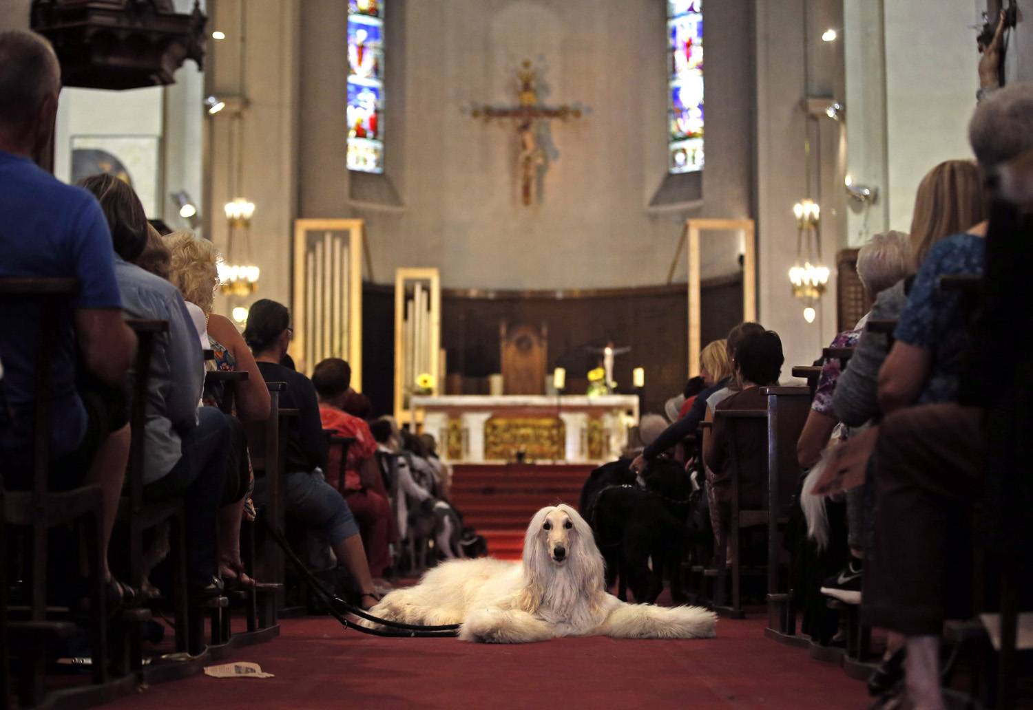 Owners and their pets attend a mass at the Saint Pierre D'Arene church to honour the feast of Saint Francis of Assisi in Nice