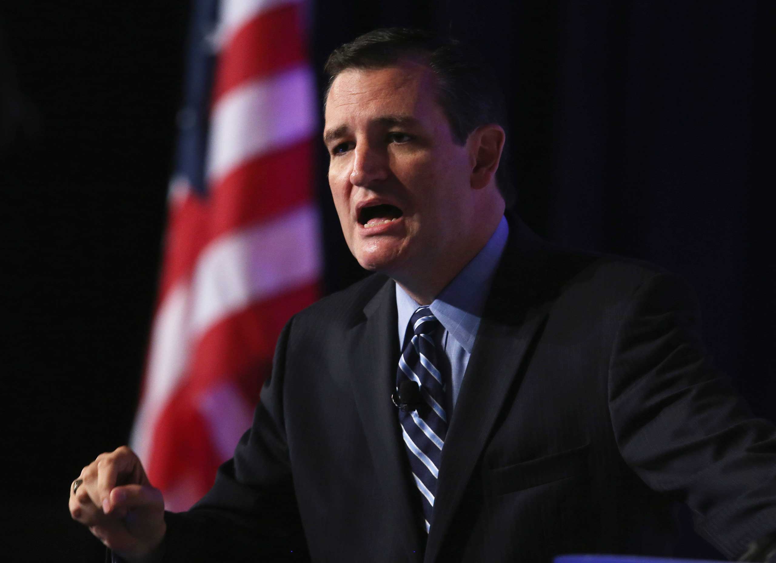 Sen. Ted Cruz (R-TX) speaks at the 2014 Values Voter Summit, Sept. 26, 2014 in Washington, DC. (Mark Wilson—Getty Images)