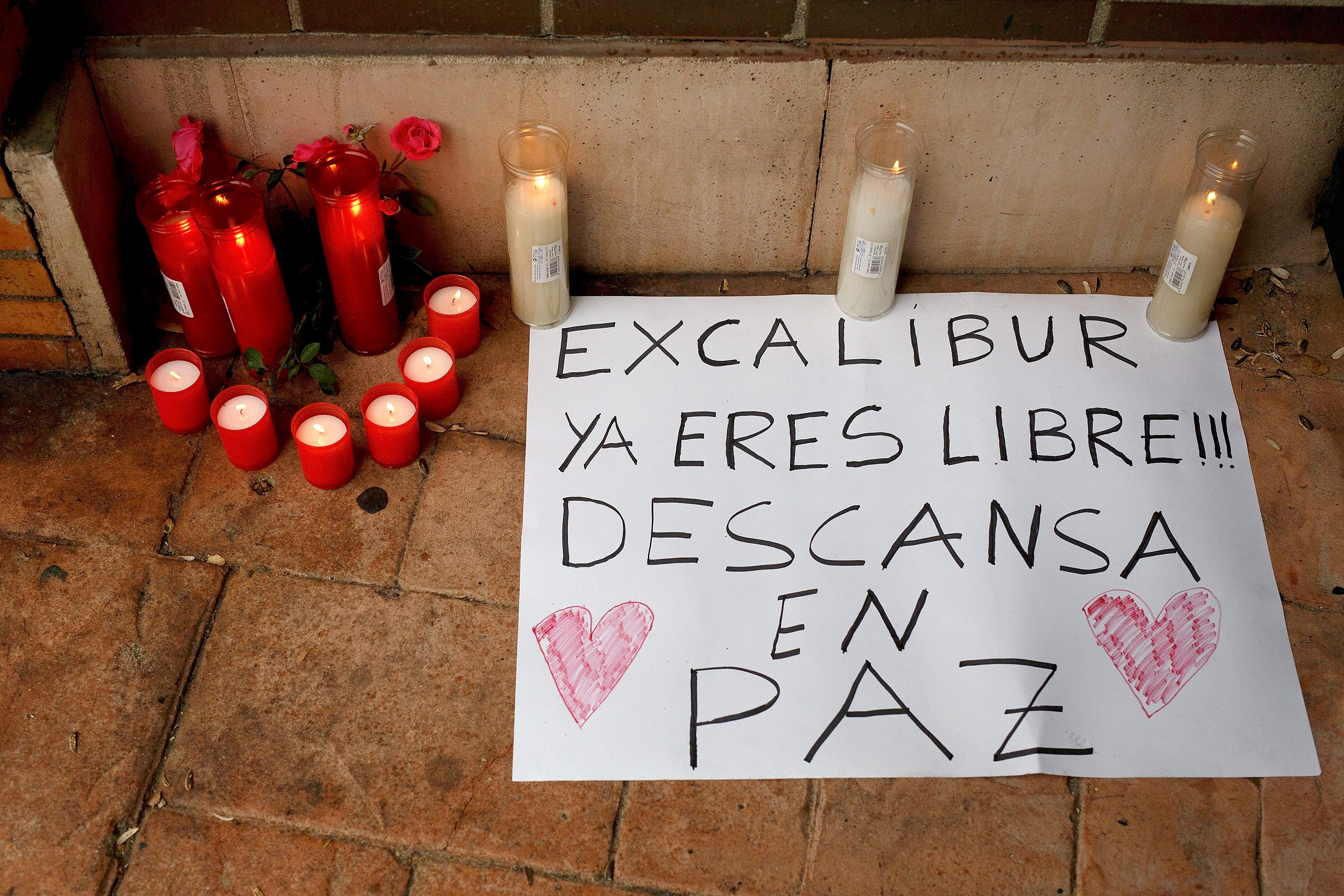 Candles and a message reading 'Excalibur. You are free now. Rest in peace' lay on the ground in memory of dog named 'Excalibur' outside the apartment building, the private residence for Spanish nurse Teresa Romero who has tested positive for the Ebola virus on October 9, 2014 in Alcorcon, near Madrid, Spain. (Pablo Blazquez Dominguez&mdash;Getty Images)