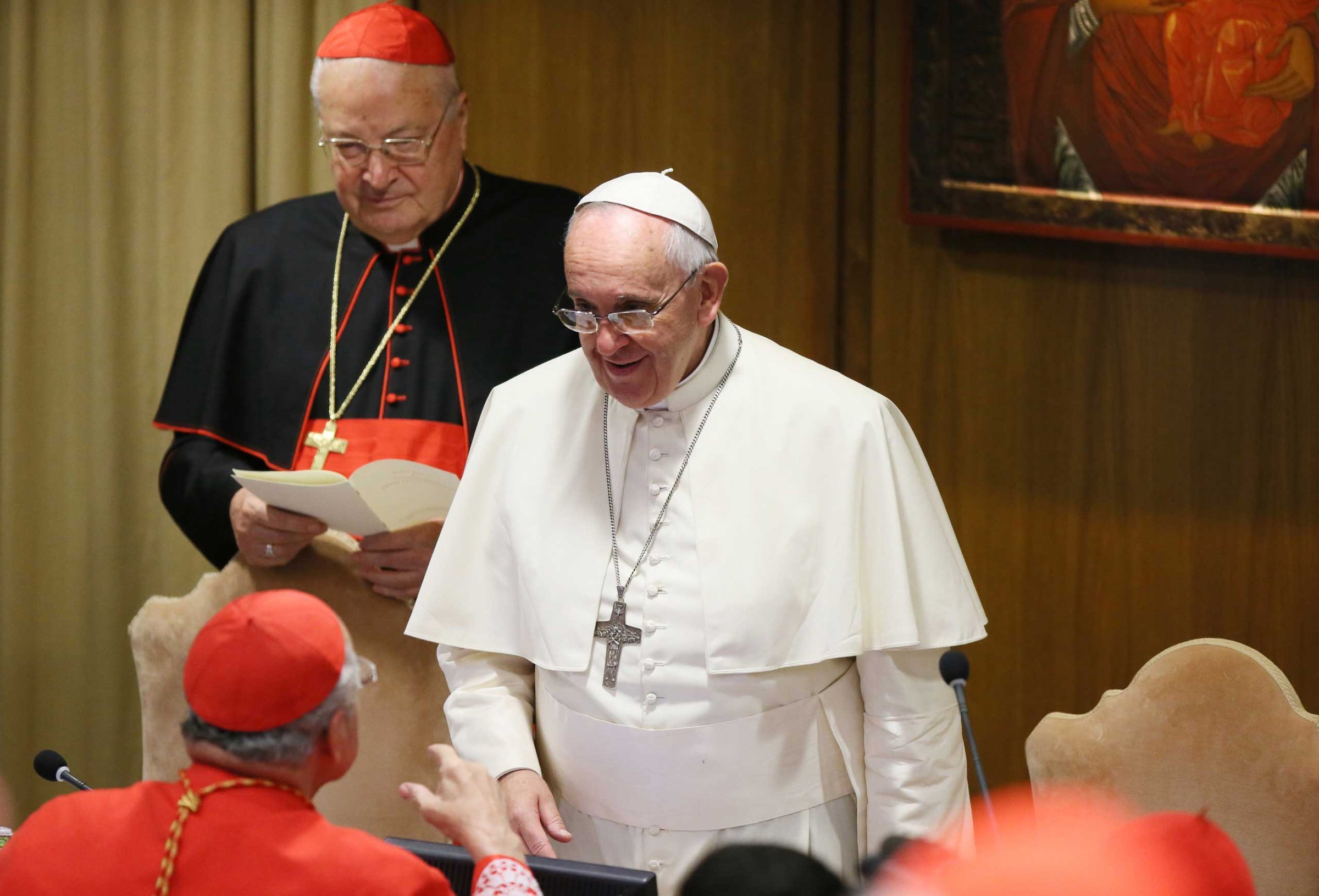 Pope Francis Leads Ordinary Public Consistory