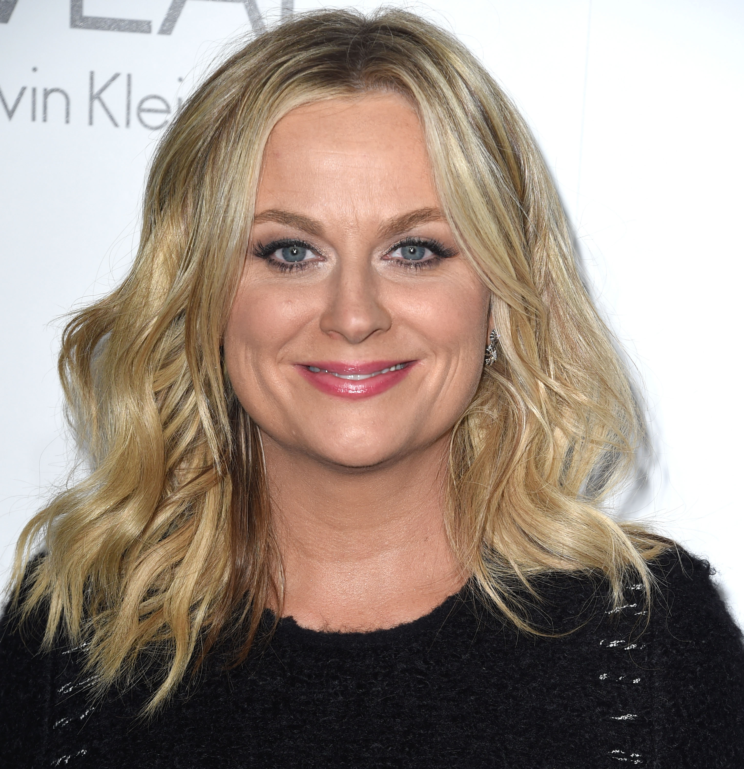 Amy Poehler arrives at the 2014 ELLE Women In Hollywood Awards at Four Seasons Hotel Los Angeles at Beverly Hills on Oct. 20, 2014 in Beverly Hills. (Steve Granitz&mdash;WireImage)