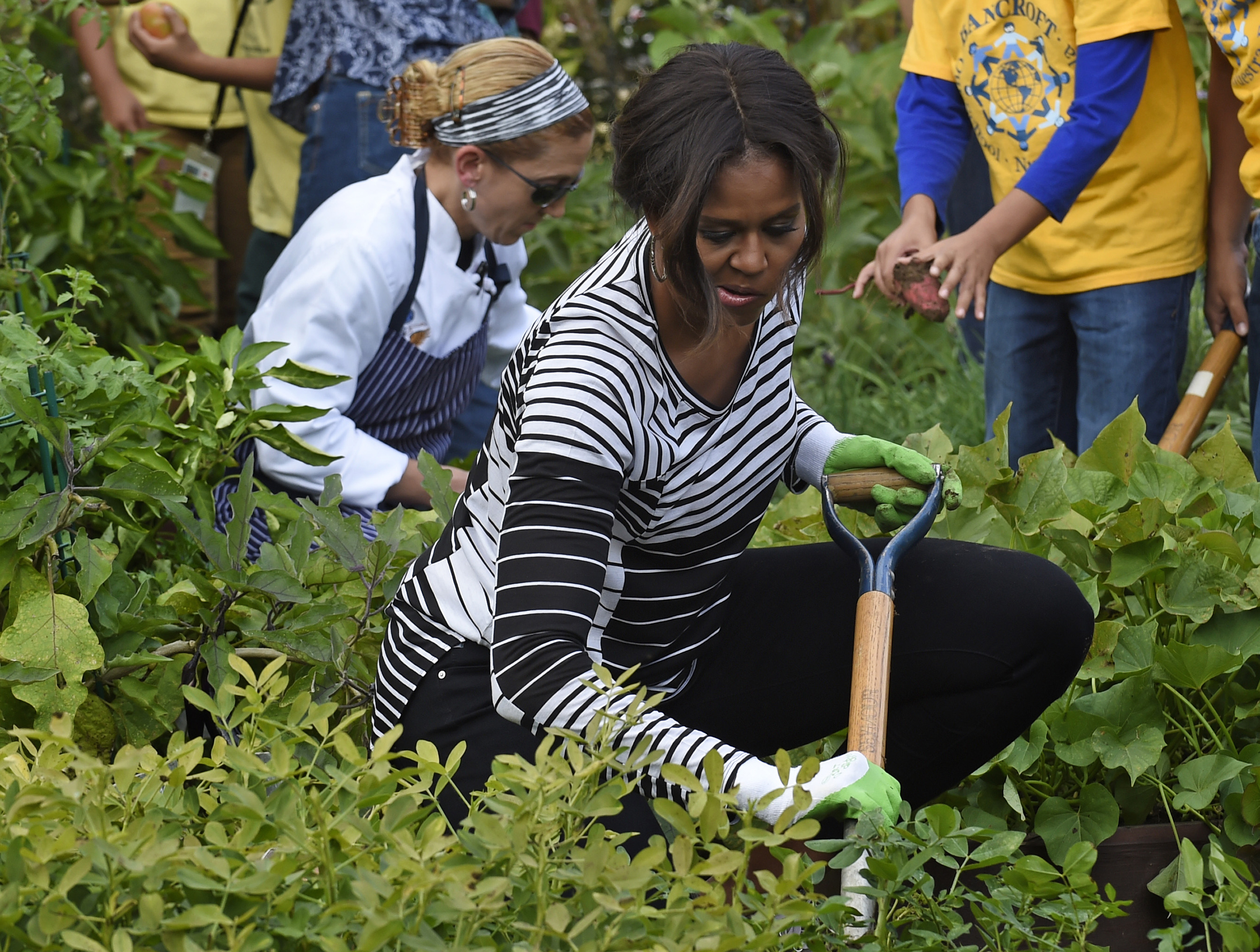 First Lady Michelle Obama is joined by school children as they harvest peanuts in the annual fall harvest at the White House on Oct. 14, 2014 (Susan Walsh—AP)