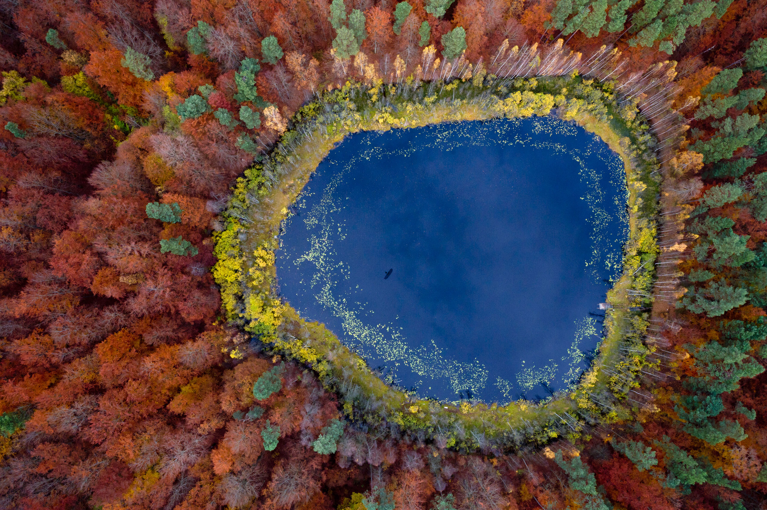 A view over a lake in a forest with trees changing colour in autumn in Kashubia.