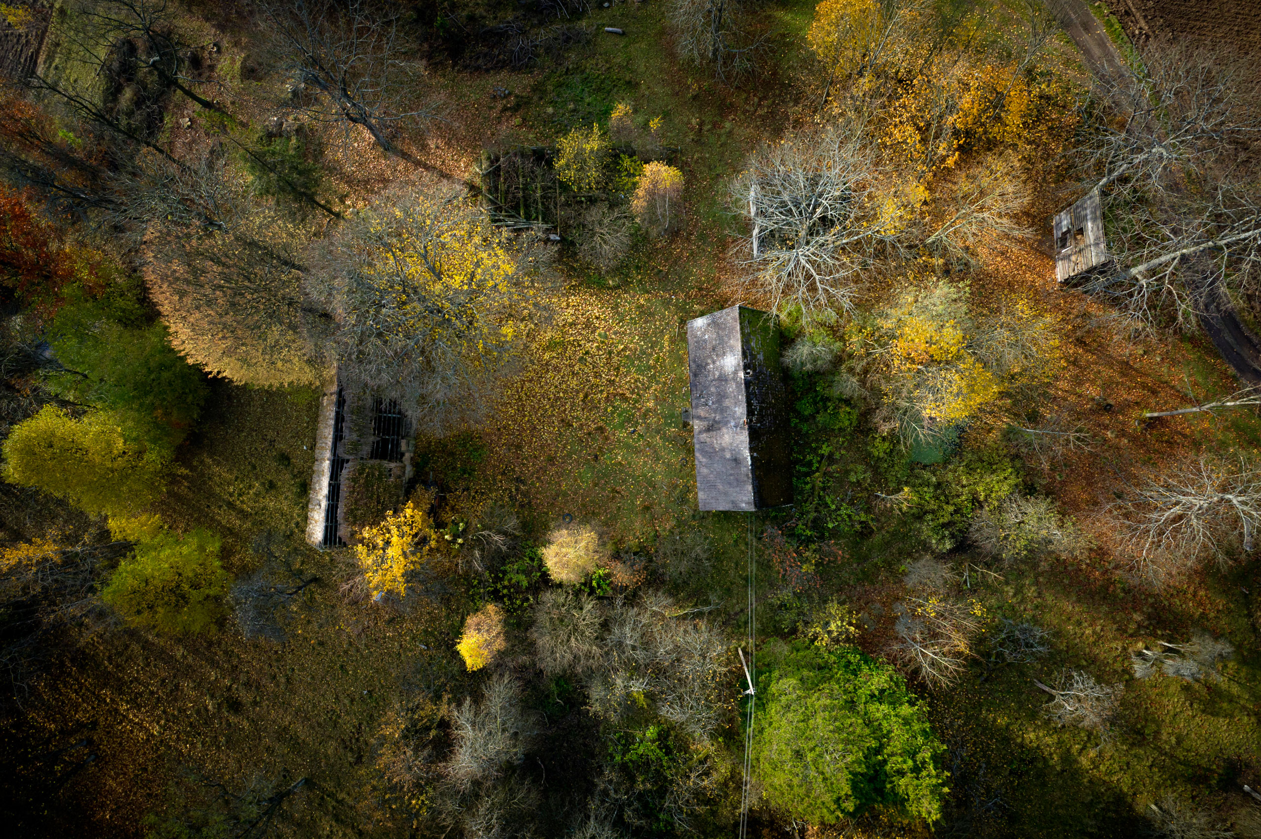 A view of a house in a forest with trees changing colour in autumn in Kashubia.