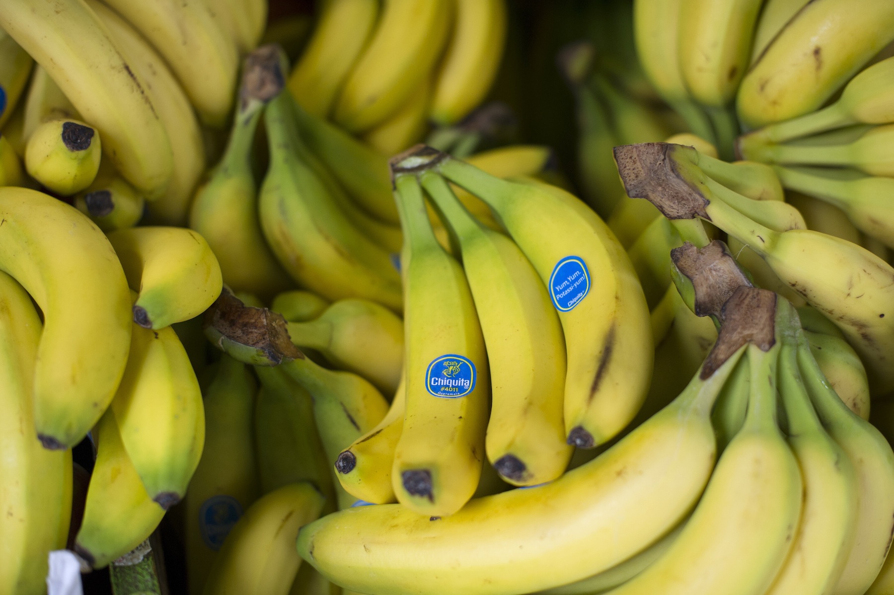 Chiquita Brands International Inc. bananas are displayed at a store in San Francisco on Feb. 19, 2013. (David Paul Morris—Bloomberg / Getty Images)