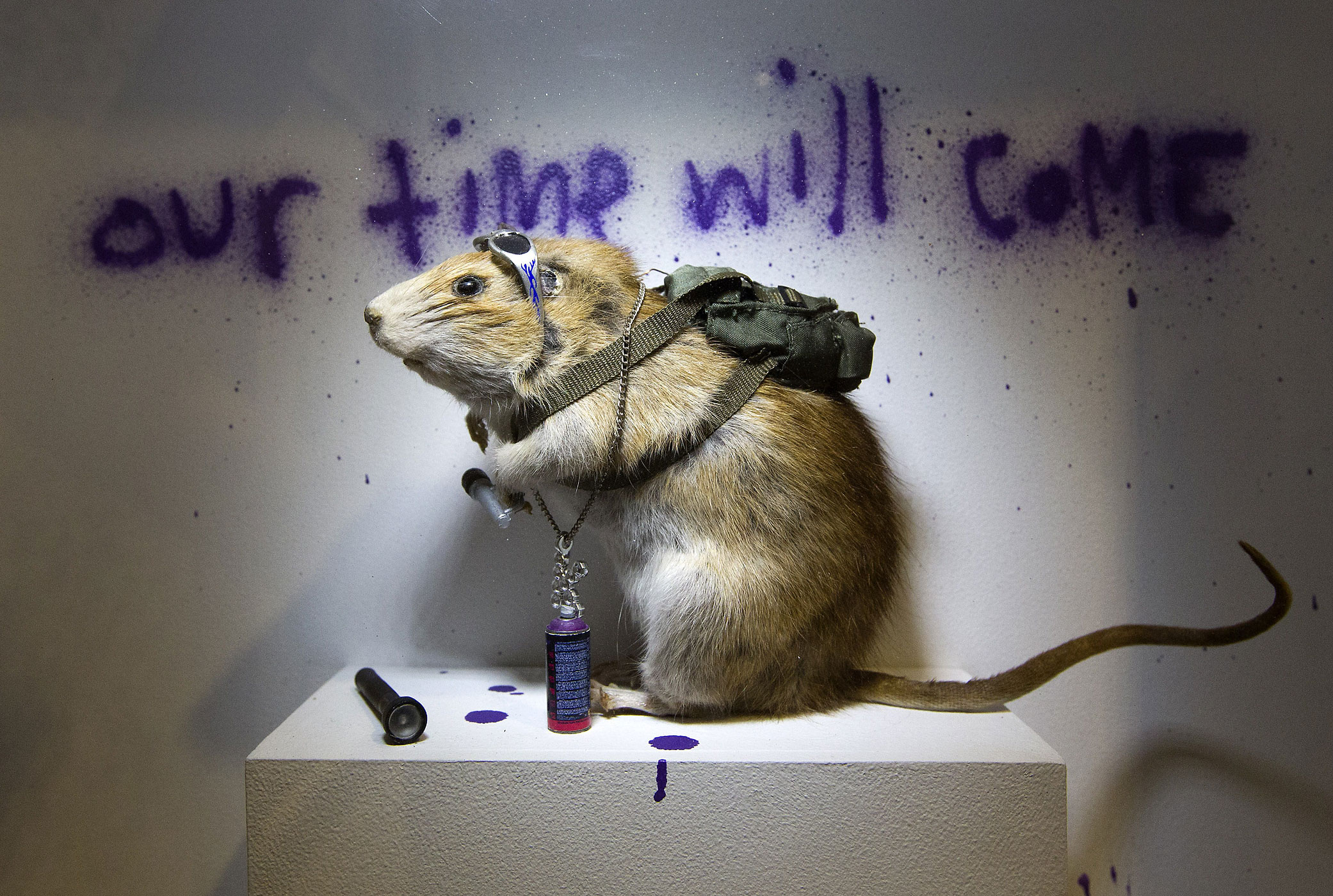 A work entitled  Banksus Militus Vandalus  is displayed in the first unauthorized retrospective of works by British graffiti artist Banksy in London on June 6, 2014.