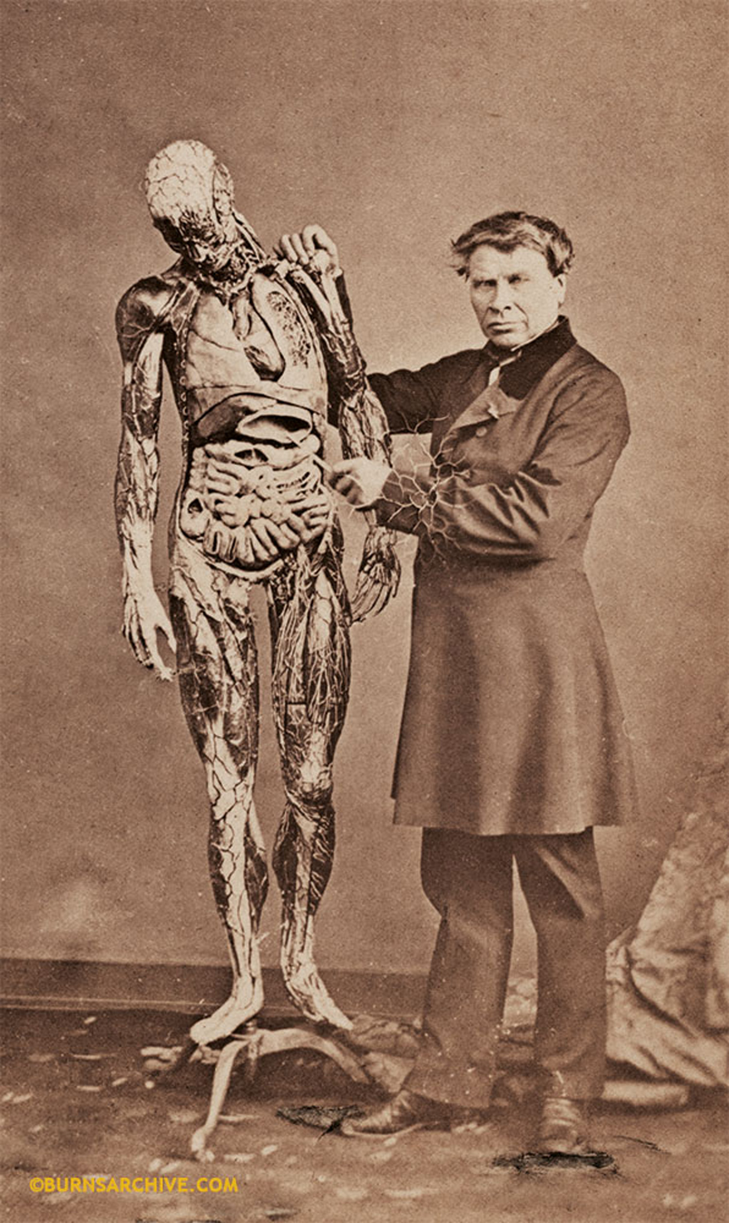 Anatomical Model Maker, Dr. Azouz 1858