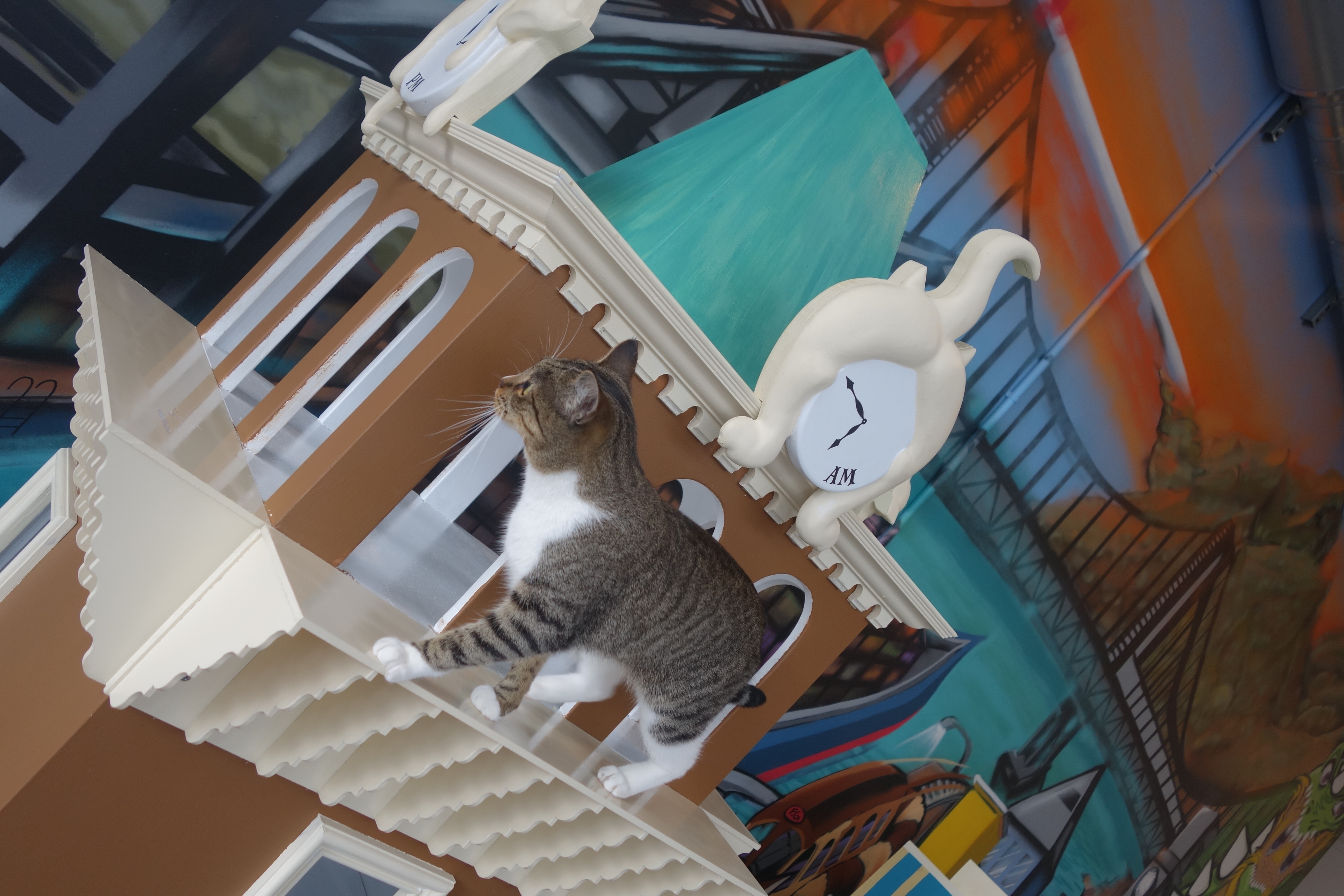 A cat walks atop a reproduction of Oakland's Tribune Tower at the Cat Town Cafe in Oakland on Oct. 25, 2014. (Katy Steinmetz for TIME)
