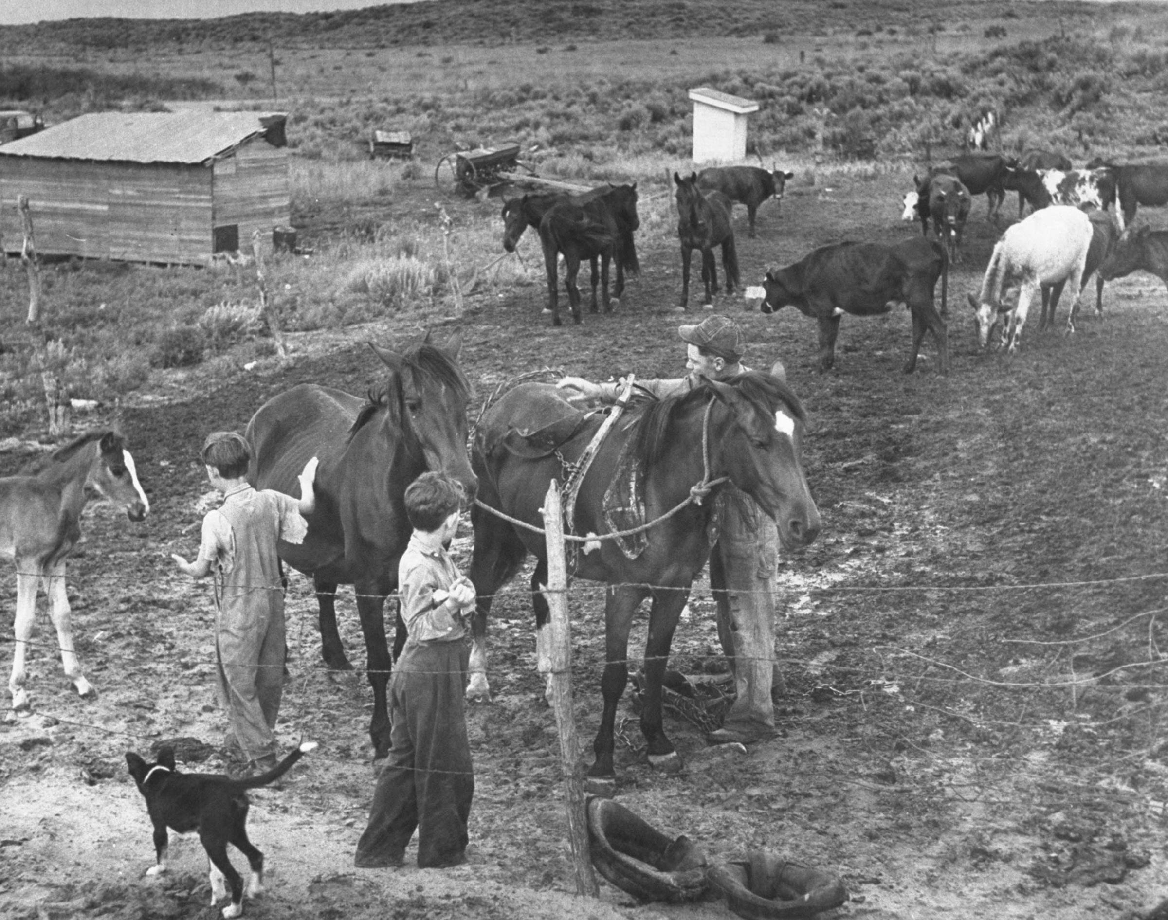 Farmer John Barnett and his sons work their farm, Oklahoma, 1942.