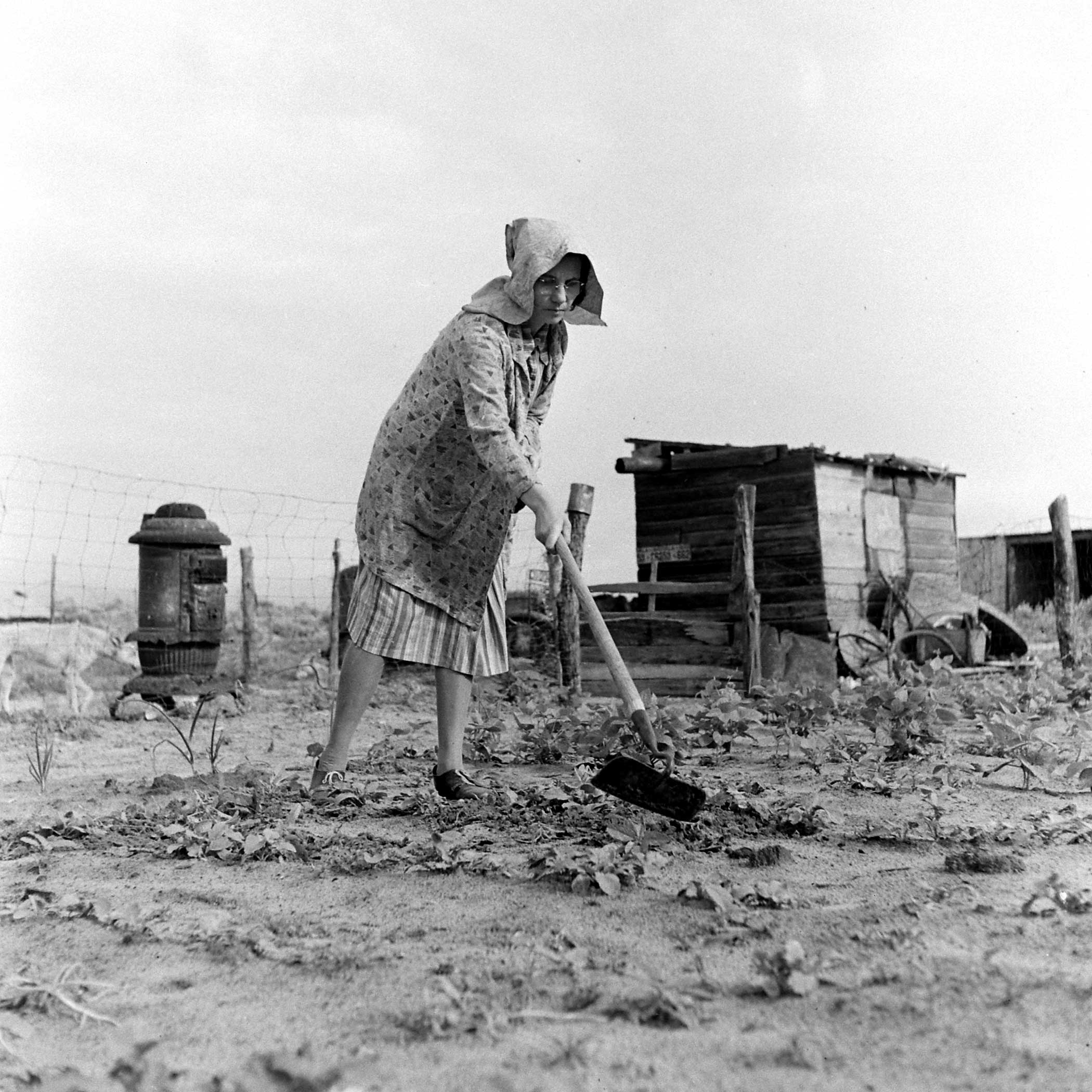 Farmer John Barnett's wife, Venus, works in her vegetable garden after a second planting, Oklahoma, 1942. A windstorm earlier in the year blew the first seedlings away.