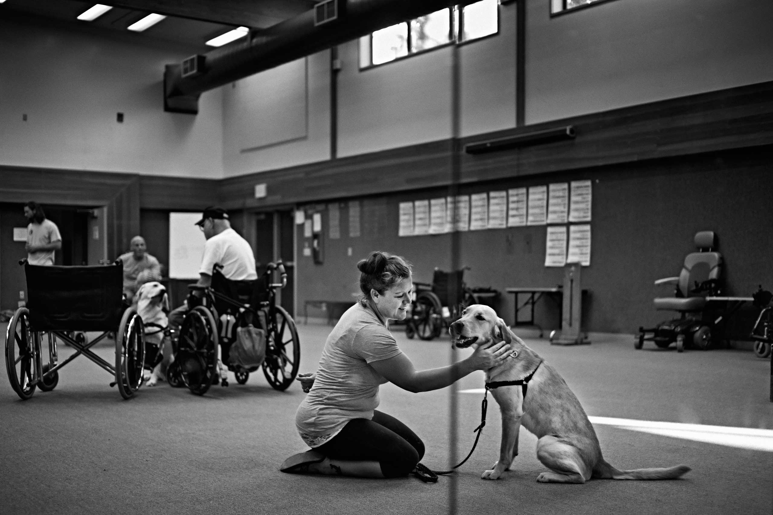 Veteran Laura Jordan works with a service dog at Bergin University of Canine Studies in Rohnert Park, California, United States on September 30, 2014.
                              
                              Jordan is an OIF/OEF Veteran who served from 2003 to 2006. She was attached to a Transportation Brigade at Mare Island in Vallejo and later on to a few various units such as the 467th, 483rd, 481st &amp; the 1397th. She was deployed on short missions to various ports to load and unload heavy artillery such as tanks, jeeps, hummers, and other heavy equipment needed for use in both combat zones.