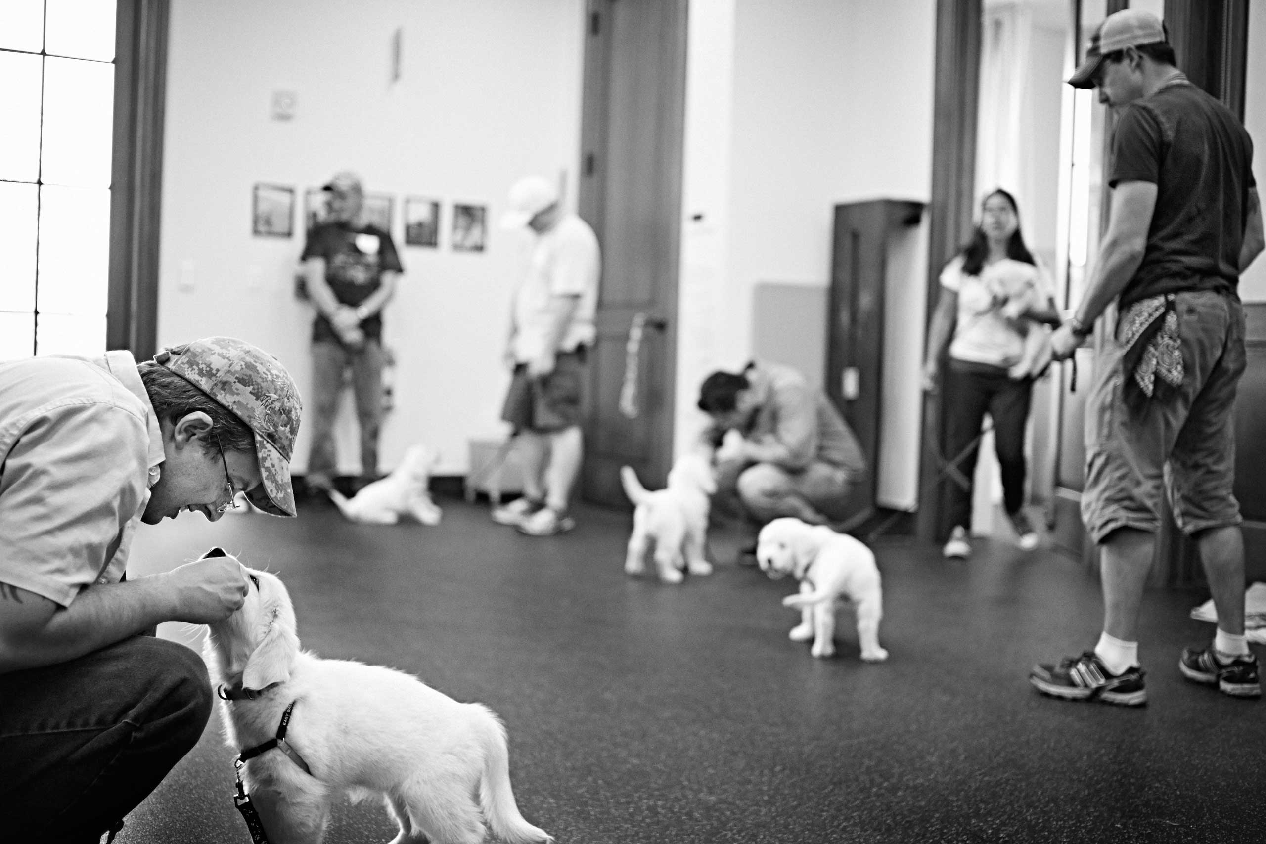 Marine Veteran Paul Robicheaux works with a puppy during the Men’s Trauma Recovery Program dog training session at the VA’s Menlo Park campus in California, United States on October 3, 2014.
                              
                              US Marine Corps Veteran Paul Robicheaux served with 1st Battalion, 12th Marines at Marine Corps Base Hawaii between 1993 and 1997.
                              
                              Paws for Purple Hearts is the first program of its kind to offer therapeutic intervention for Veterans and active-duty military personnel by teaching those with Post-Traumatic Stress Disorder (PTSD) to train service dogs for their comrades with combat-related injuries.