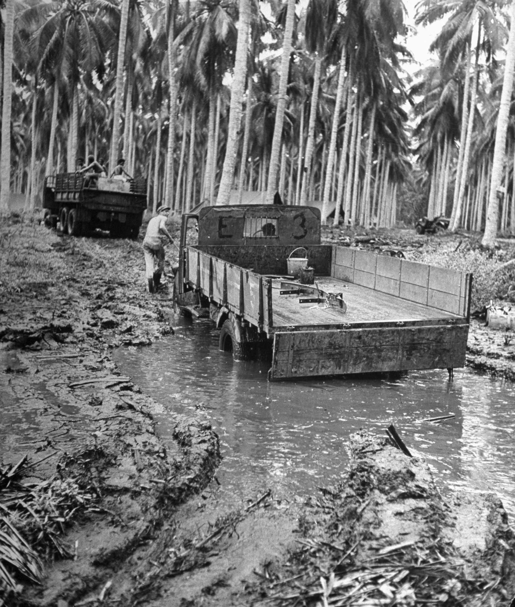 "Trucks get stuck in hub-deep mud on their way back from the front over newly constructed road. In the background are huge coconut palm trees, planted in even rows in 1908 by Lever Bros. for their soap business."