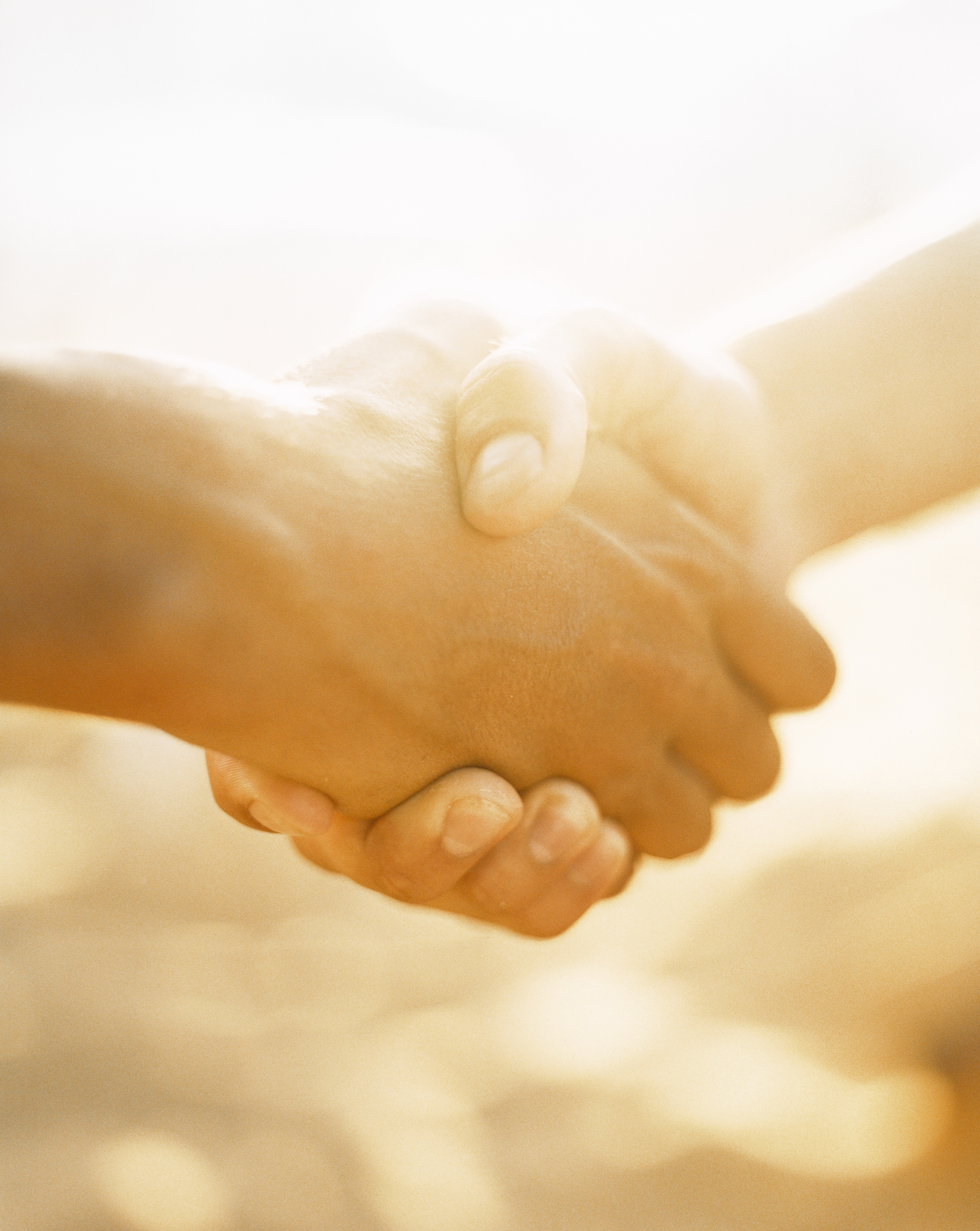 Two persons shaking hands in sunlight, close-up