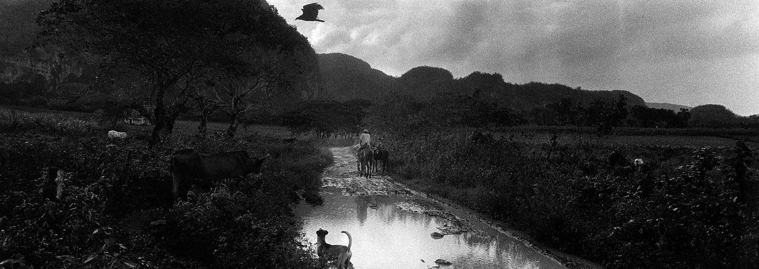 Dog and Hawk. Viñales, Cuba. 2002.