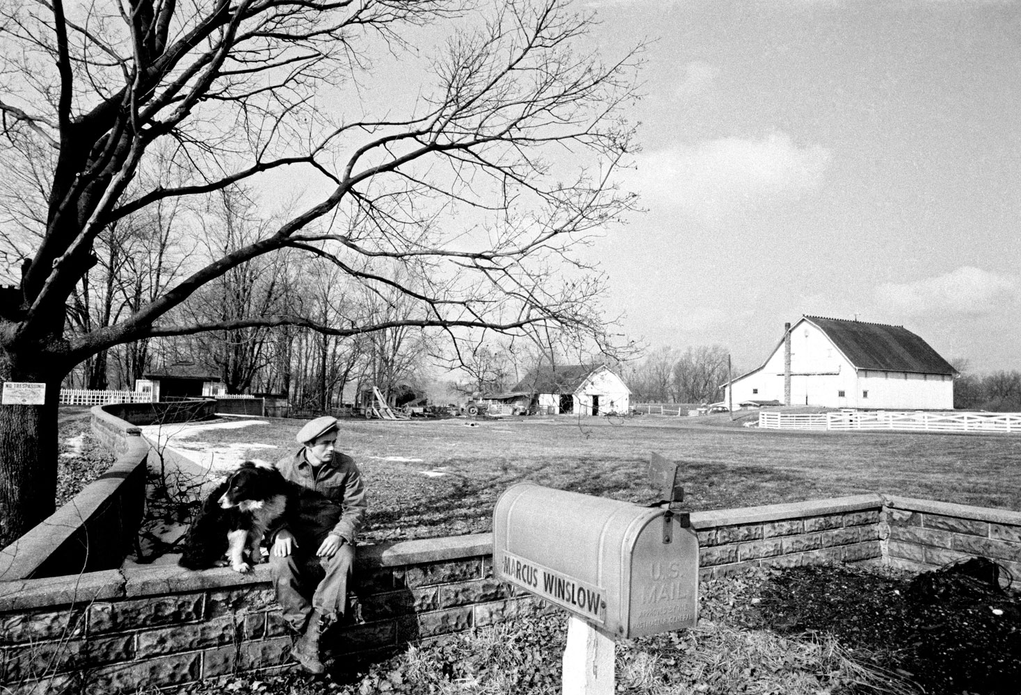 James Dean on his uncle Marcus Winslow's Indiana farm, 1955.
