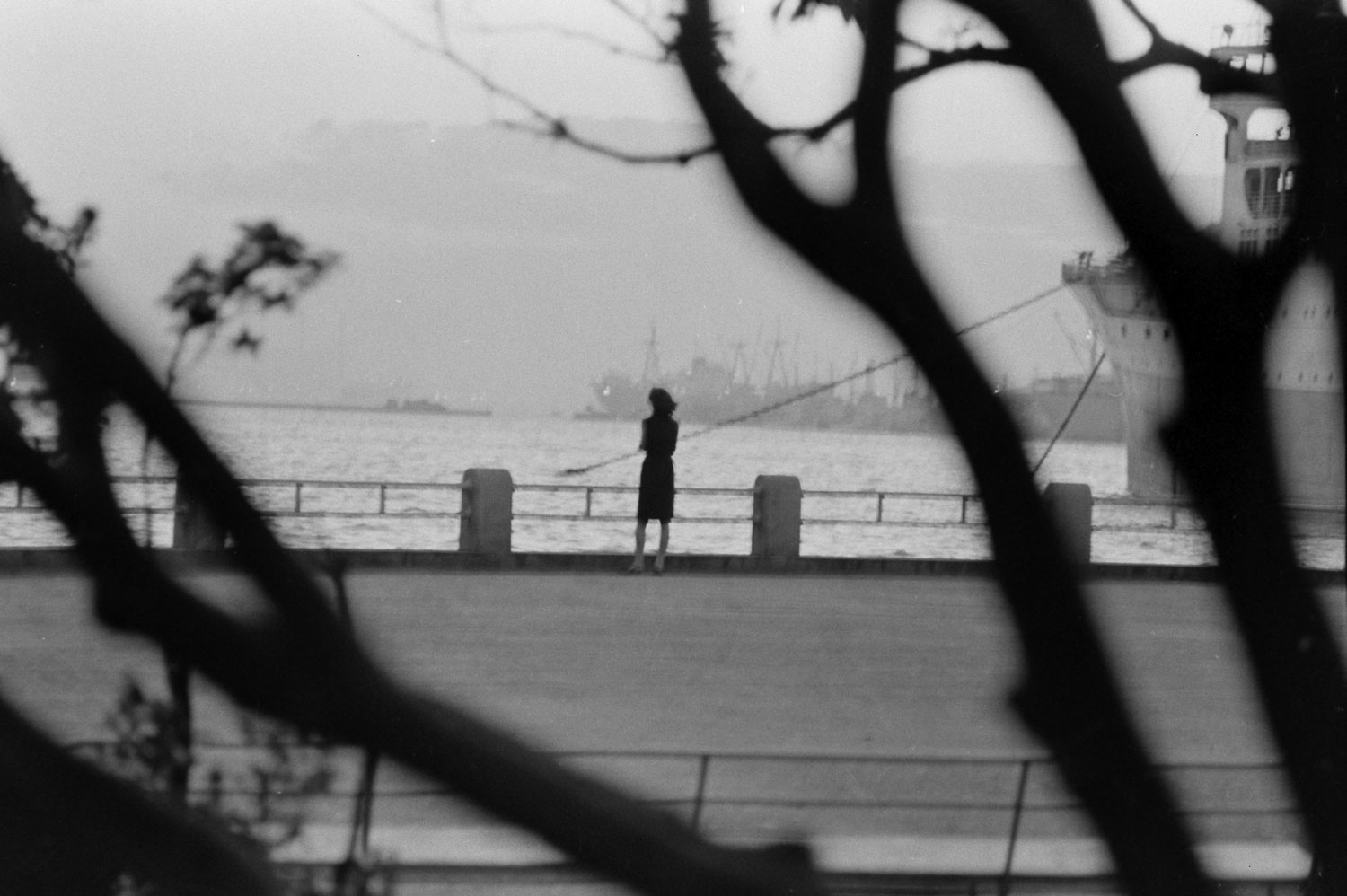 "Sometimes [Yoko] goes down to the port in Yokohama to watch the ships sail off to the places she only wishes she cold go. At sunset, her 'day' begins again."