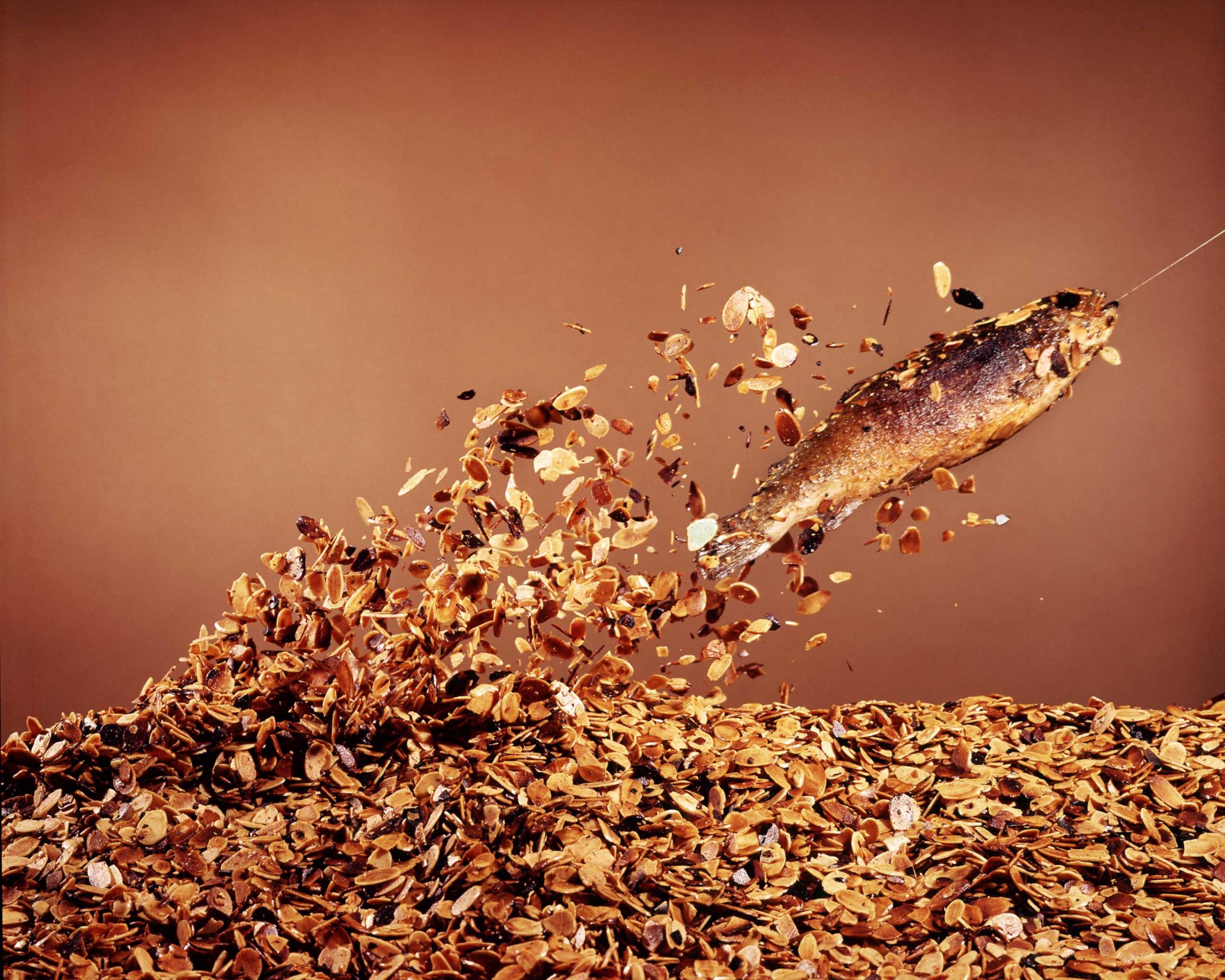 A trout "flies" out of a bed of almonds in preparation for Trout Amandine, 1964.