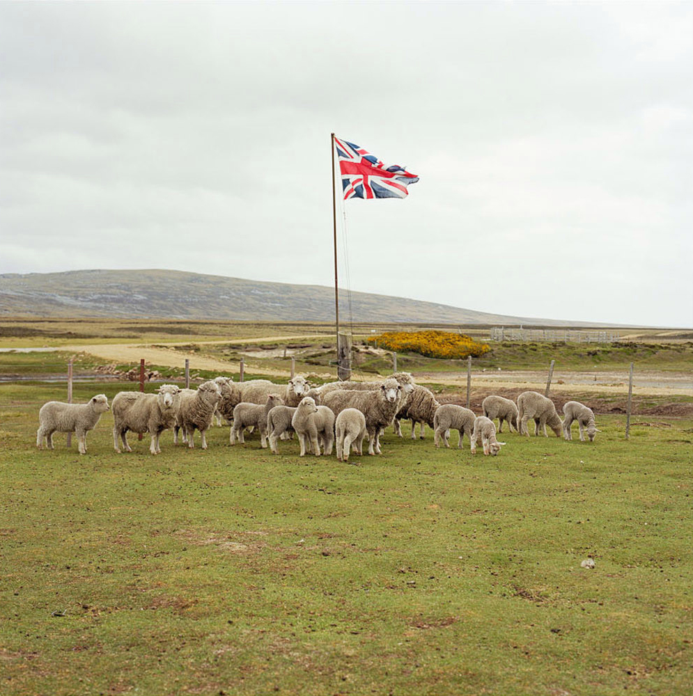 Falkland Islands, 2011.