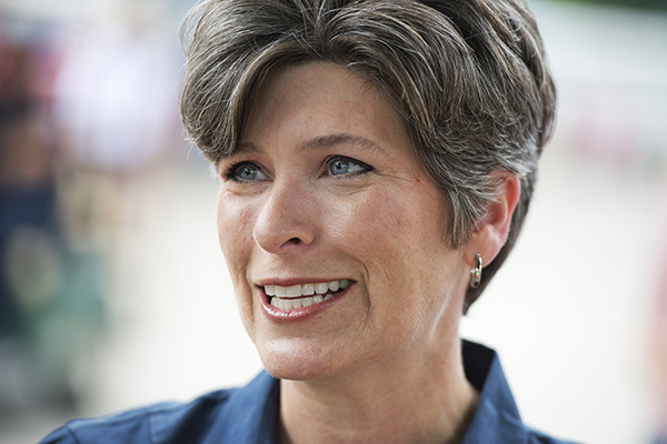 Joni Ernst campaigns at the 2014 Iowa State Fair in Des Moines, Iowa on Aug. 8, 2014. (Tom Williams—CQ-Roll Call/Getty Images)