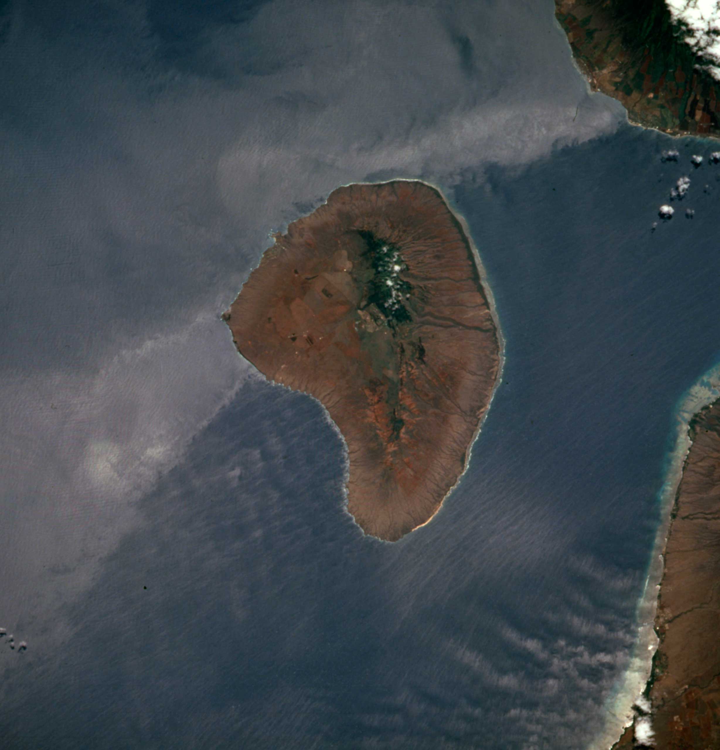 Larry Ellison
                              
                              Outgoing Oracle CEO Larry Ellison owns 98% of the 141-square-mile Hawaiian island of Lanai, which he bought for an undisclosed price. He is turning it into a  model for sustainable enterprise,  he's said, though details remain sketchy.