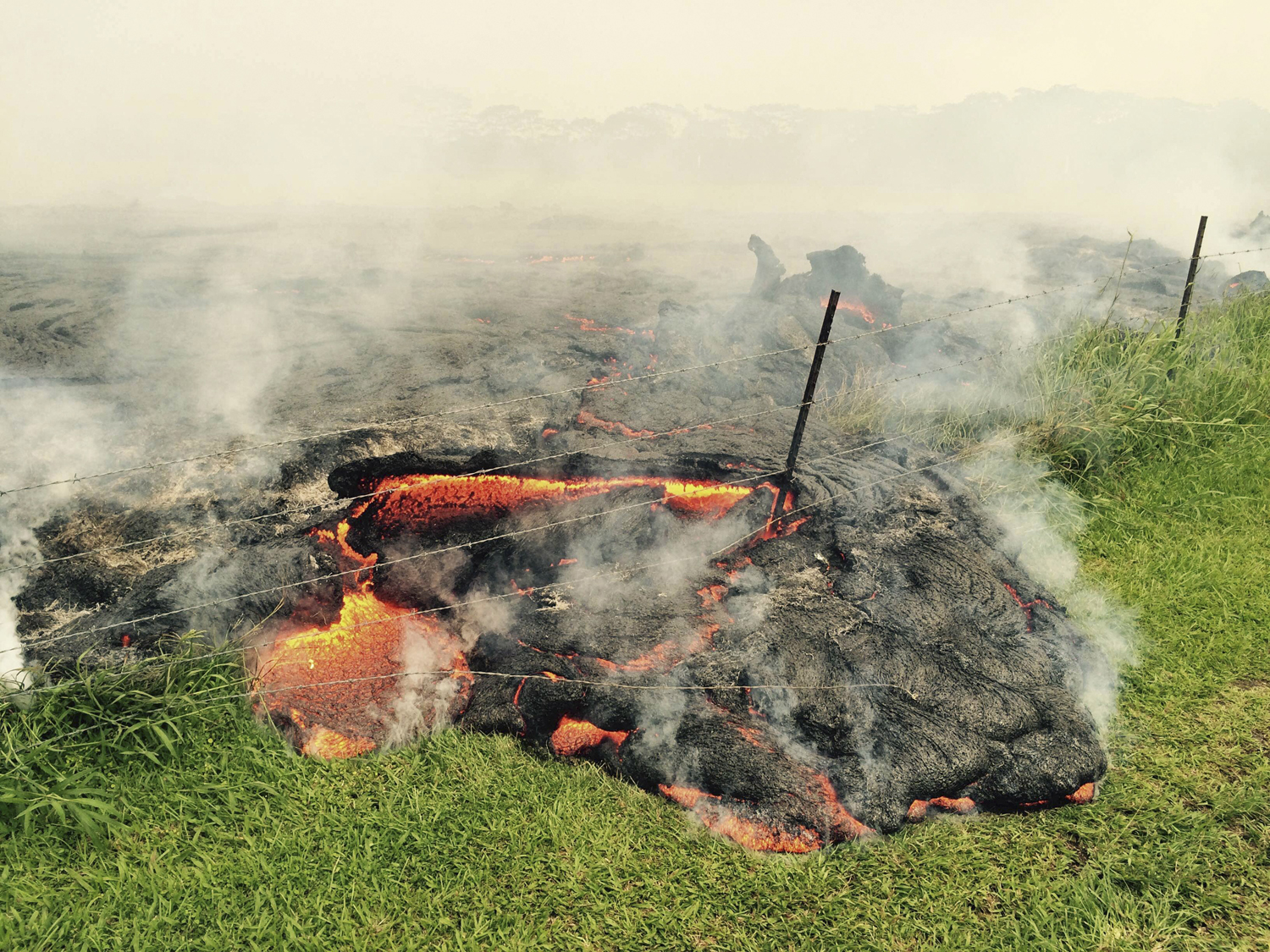 The lava flow from the Kilauea Volcano is seen advancing across a pasture between the Pahoa cemetery and Apa'a Street in this U.S. Geological Survey  image taken near the village of Pahoa, Hawaii on Oct. 25, 2014. (Reuters)