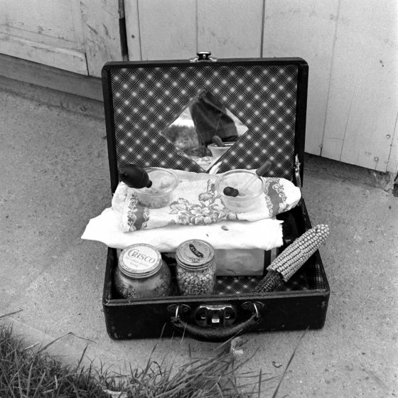 A picture of the suitcase containing the tools for feeding Mike the headless chicken, including an eye dropper that was used to provide sustenance through the hole atop his torso where his head used to be.