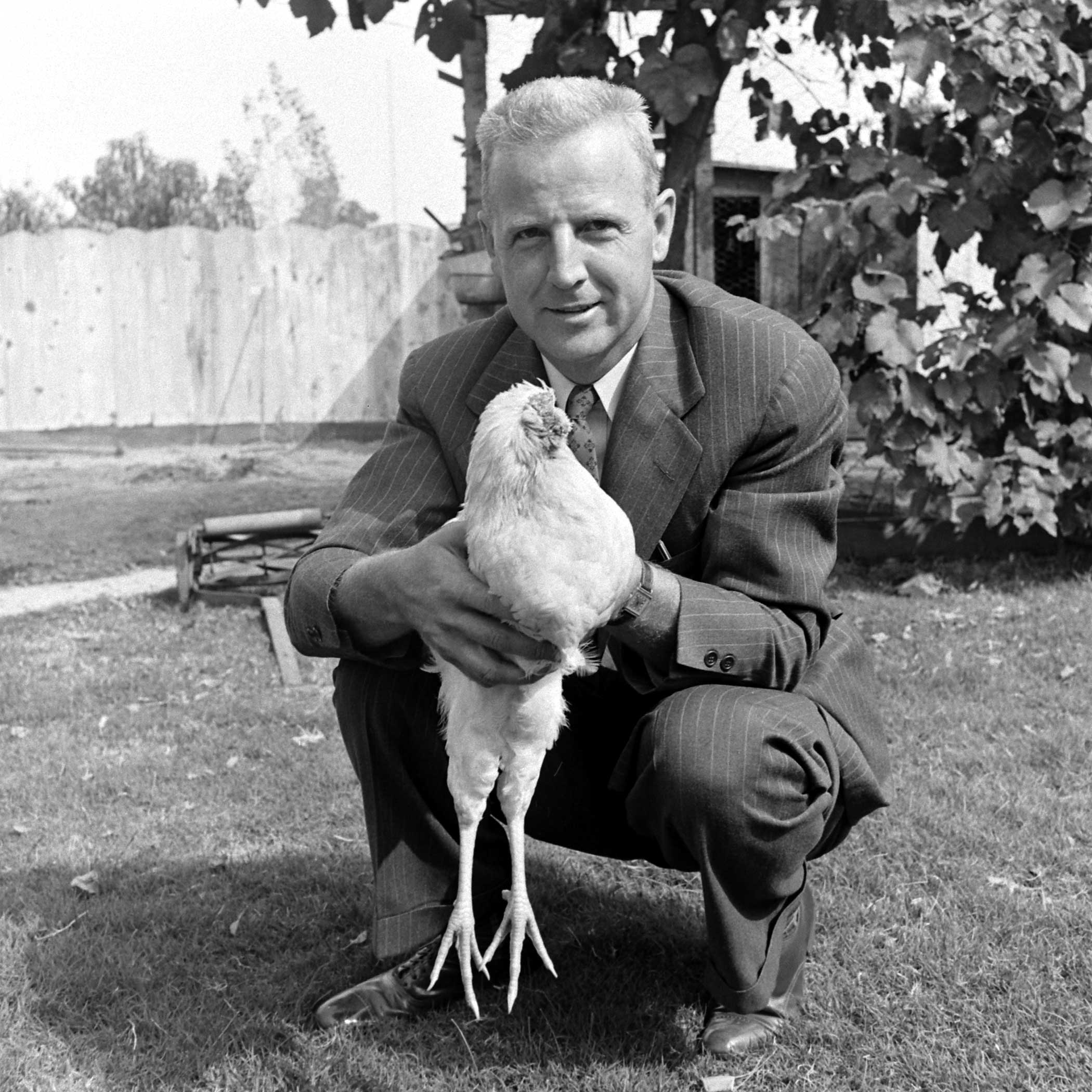 Hope Wade, a promoter who took Mike on the road and charged money for folks to take a look, holds Mike the headless chicken, Fruita, Colorado, 1945.