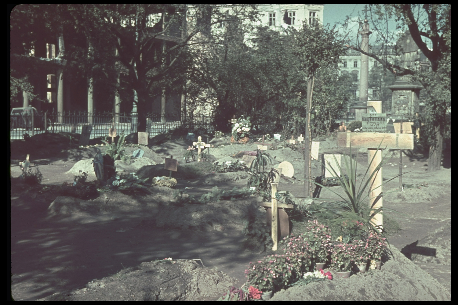 Warsaw citizens buried their dead in parks and streets after the invasion of Poland, 1939.
