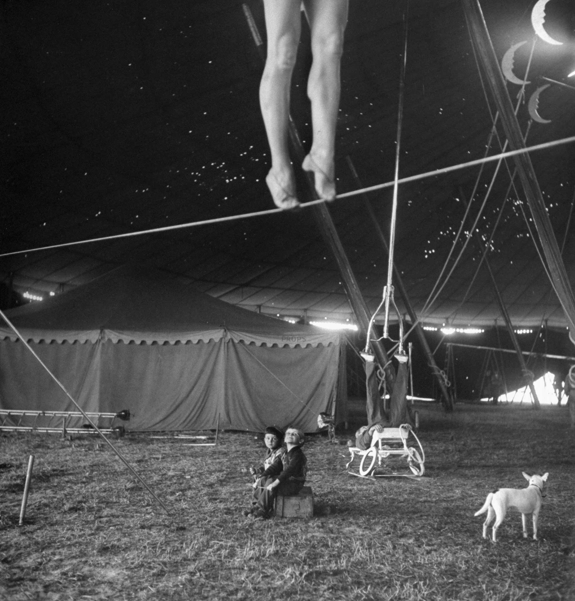 From a story on the Ringling Bros. Circus in the April 4, 1949, issue of LIFE. The caption for this picture: "Nothing but circus all day every day is the happy fate of these two performers' tots, who sit around the big tent watching as the pretty Miss Lola practices on a tightwire and an acrobat balances an odd contraption on his feet."