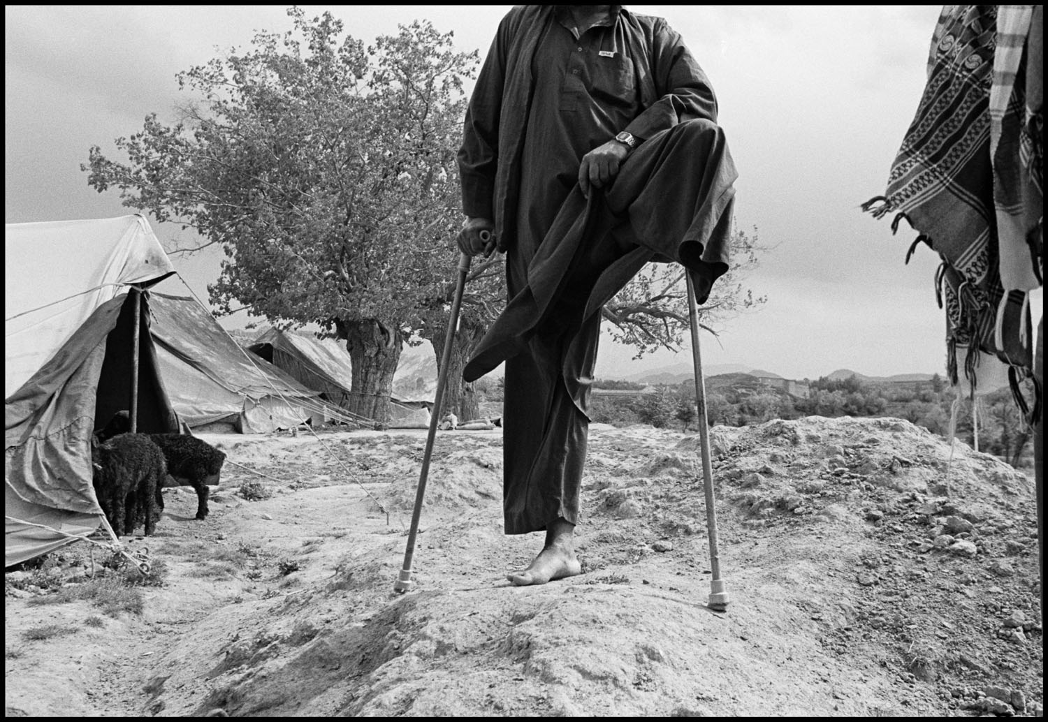 Kochi (nomad) landmine victim with tents for sheep and family members. Shomoli Plain. Afghanistan. May, 2009.