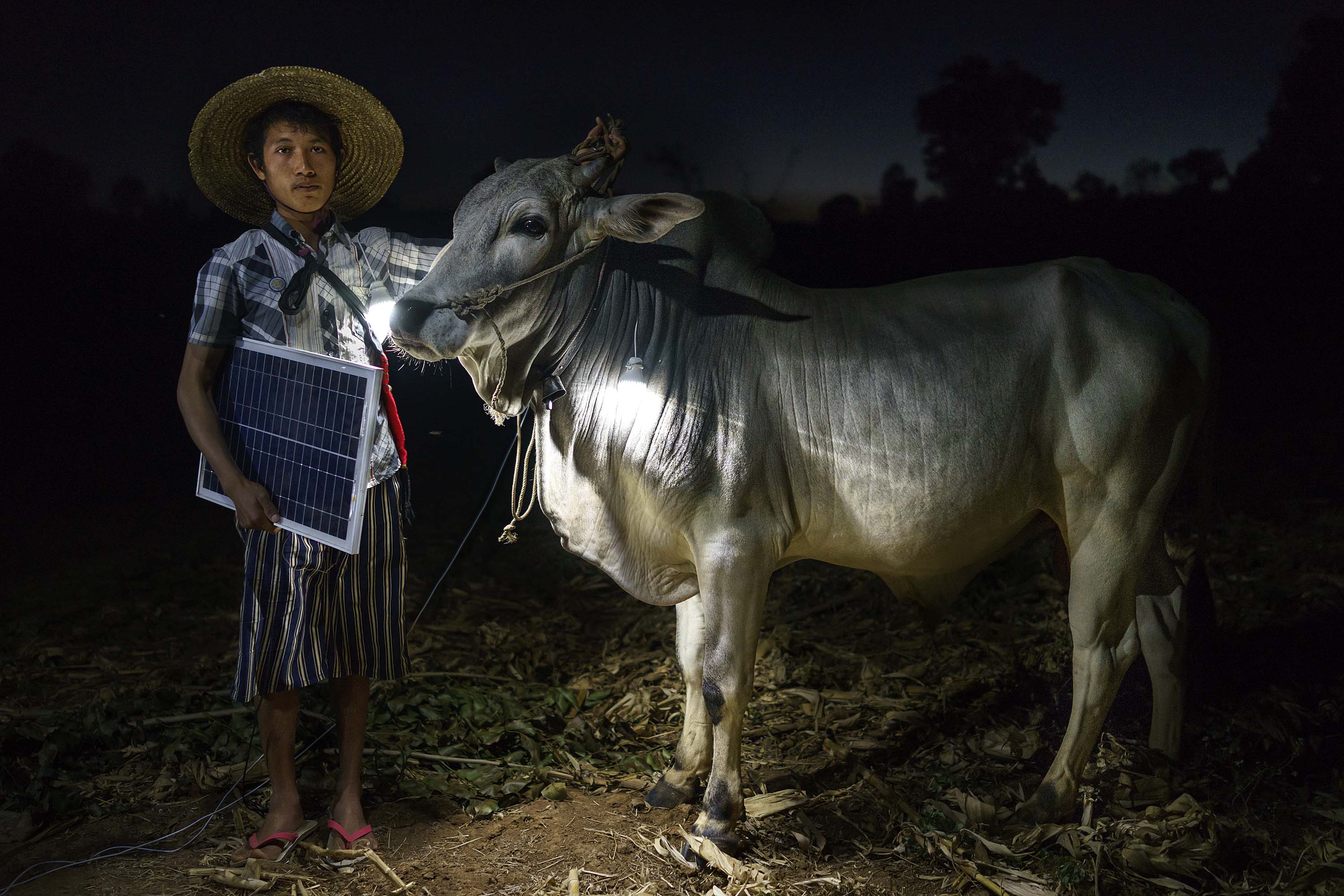 Shan farmer Mg Ko poses with his cow in Lui Pan Sone Village. (Rubén Salgado Escudero—U.N.-HABITAT)
