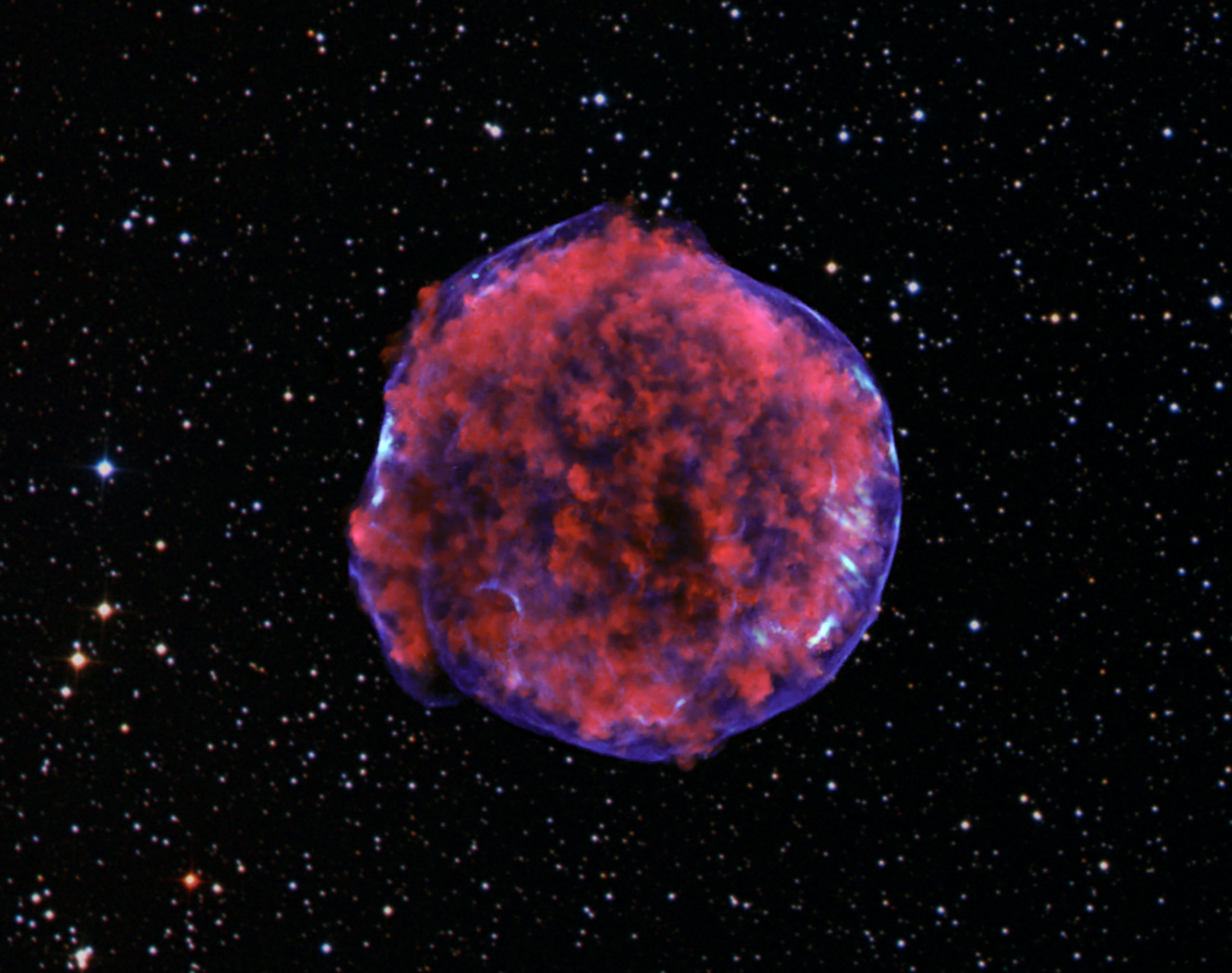 Zombie Star Tycho's supernova remnant is perhaps the most famous of the Type Ia supernovae, known as 'zombie' stars, which are white dwarves that feed off of stellar neighbors.